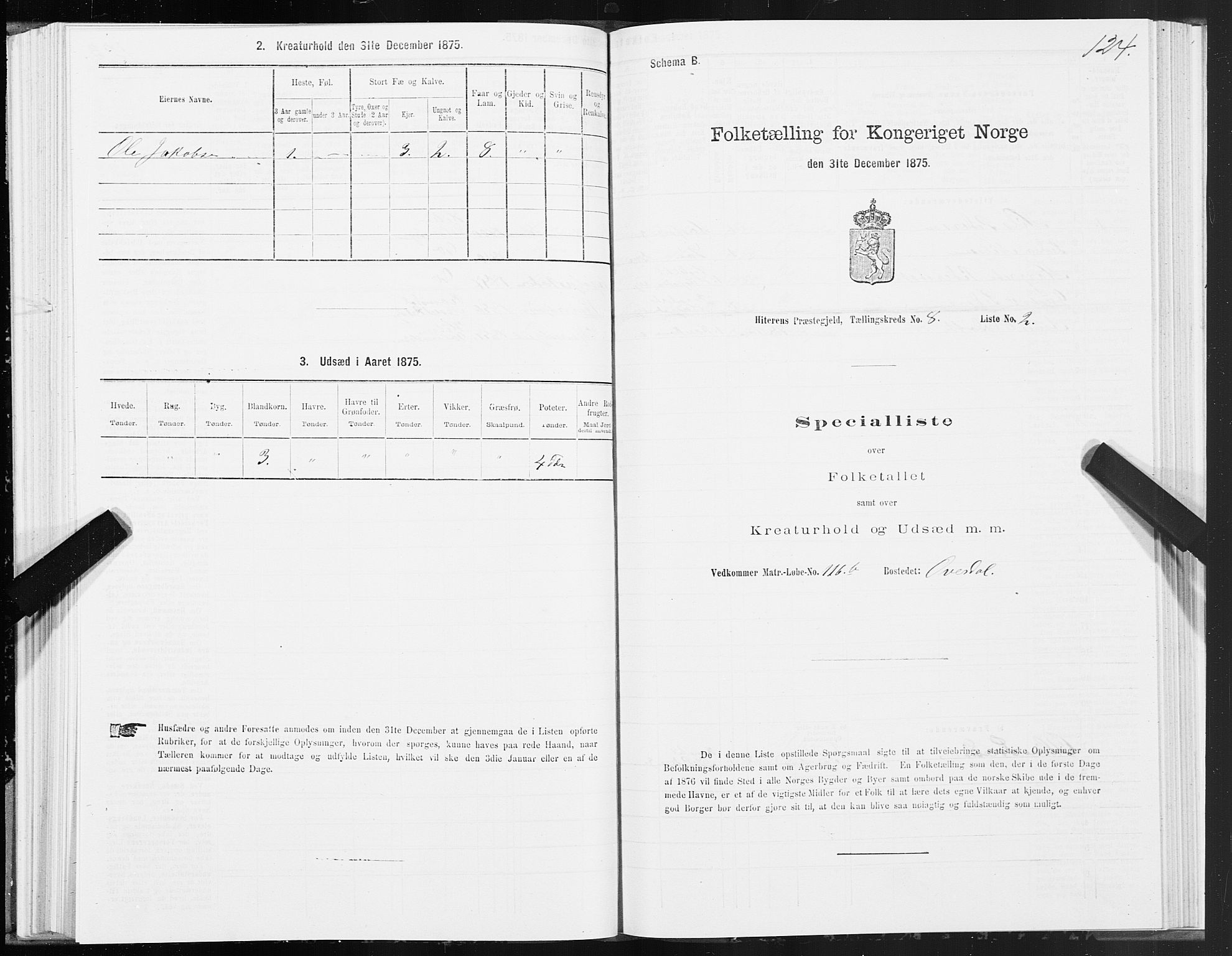 SAT, Folketelling 1875 for 1617P Hitra prestegjeld, 1875, s. 4124