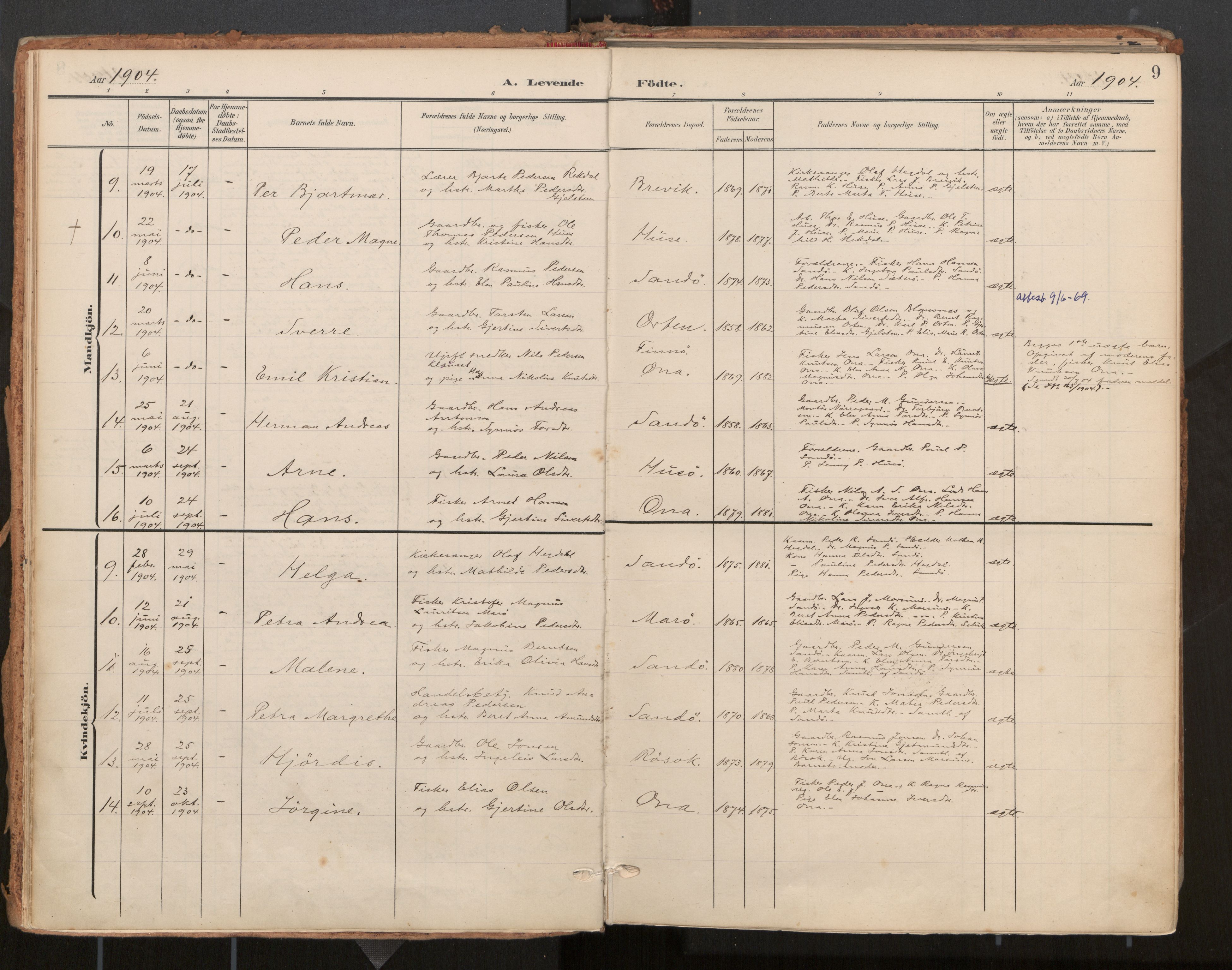 Ministerialprotokoller, klokkerbøker og fødselsregistre - Møre og Romsdal, AV/SAT-A-1454/561/L0730: Ministerialbok nr. 561A04, 1901-1929, s. 9