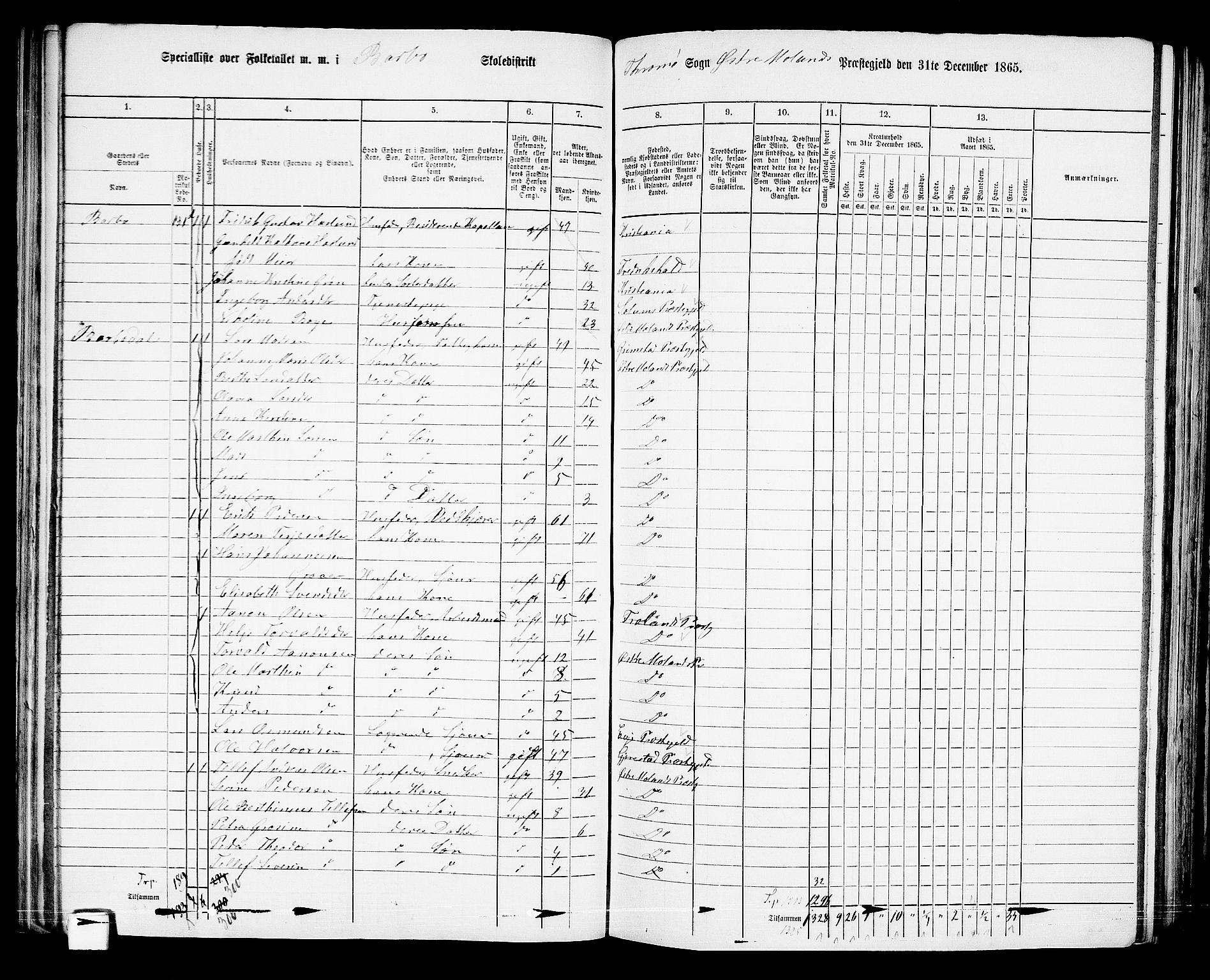 RA, Folketelling 1865 for 0918P Austre Moland prestegjeld, 1865, s. 105