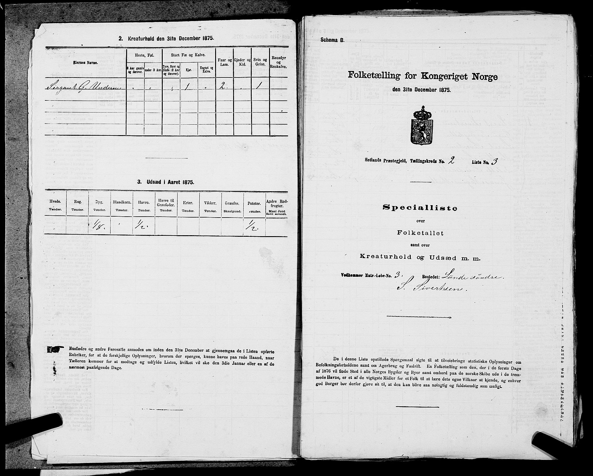 SAST, Folketelling 1875 for 1126P Hetland prestegjeld, 1875, s. 324