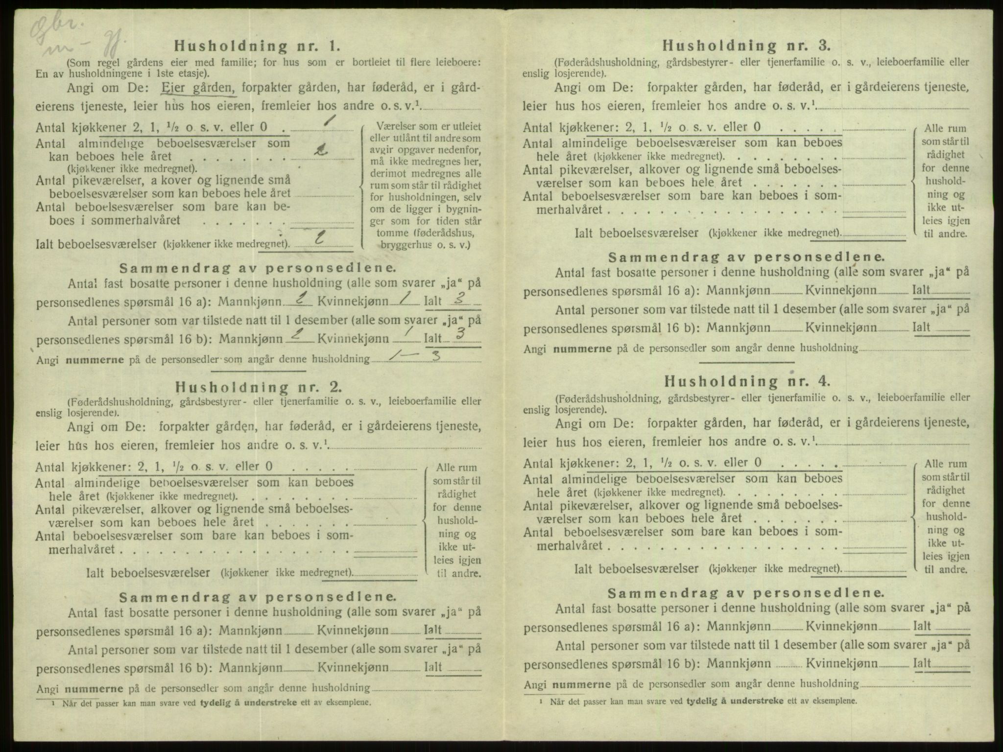SAB, Folketelling 1920 for 1444 Hornindal herred, 1920, s. 202