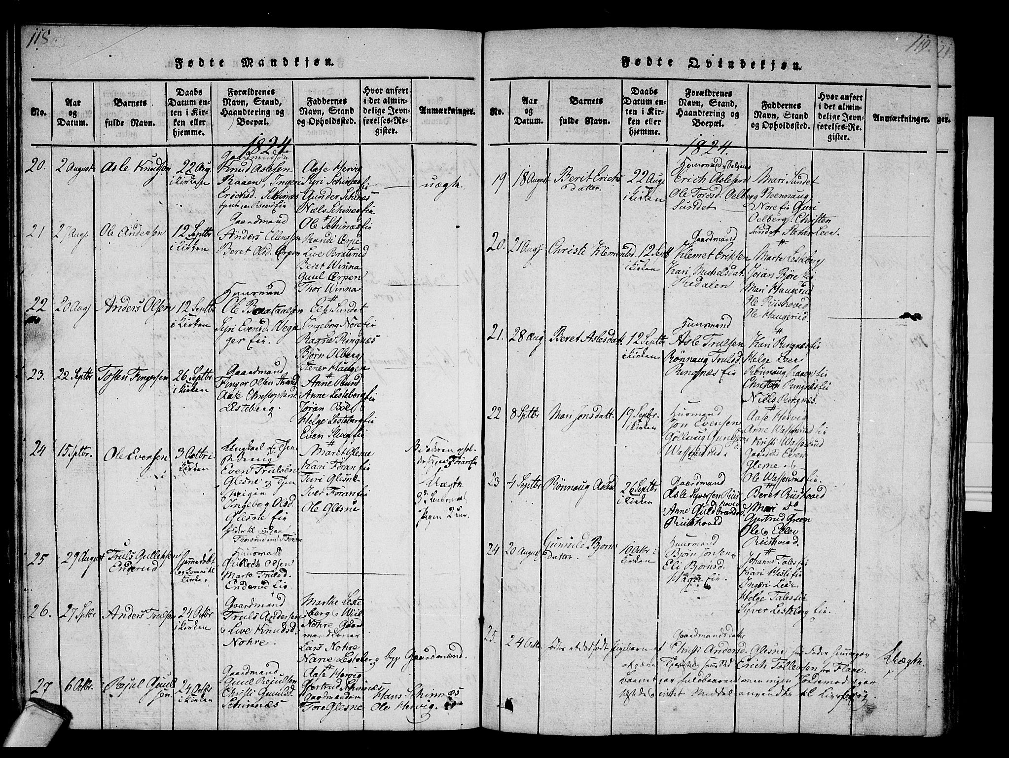 Krødsherad kirkebøker, AV/SAKO-A-19/F/Fa/L0001: Ministerialbok nr. 1, 1815-1829, s. 118-119