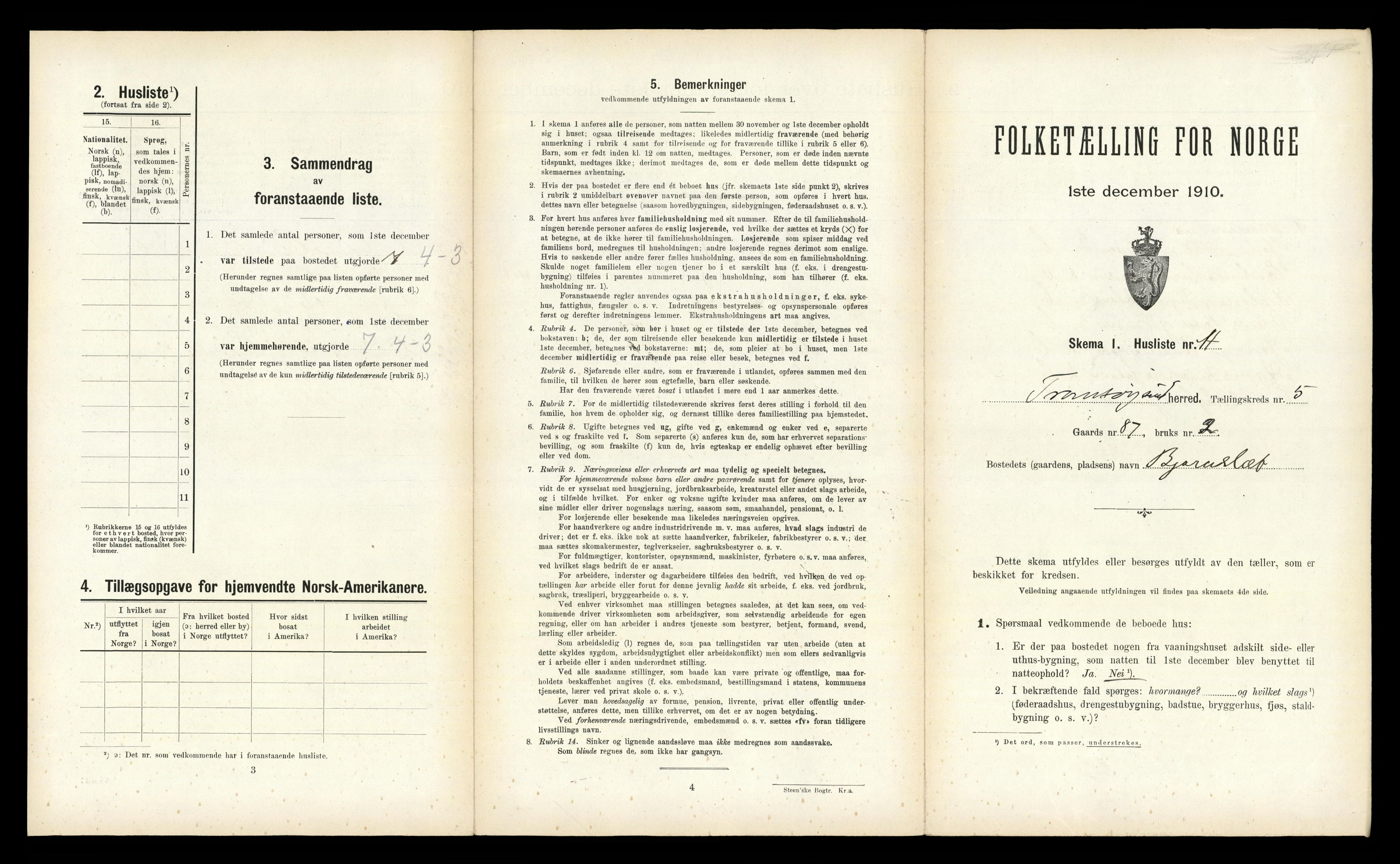 RA, Folketelling 1910 for 1934 Tromsøysund herred, 1910, s. 1029