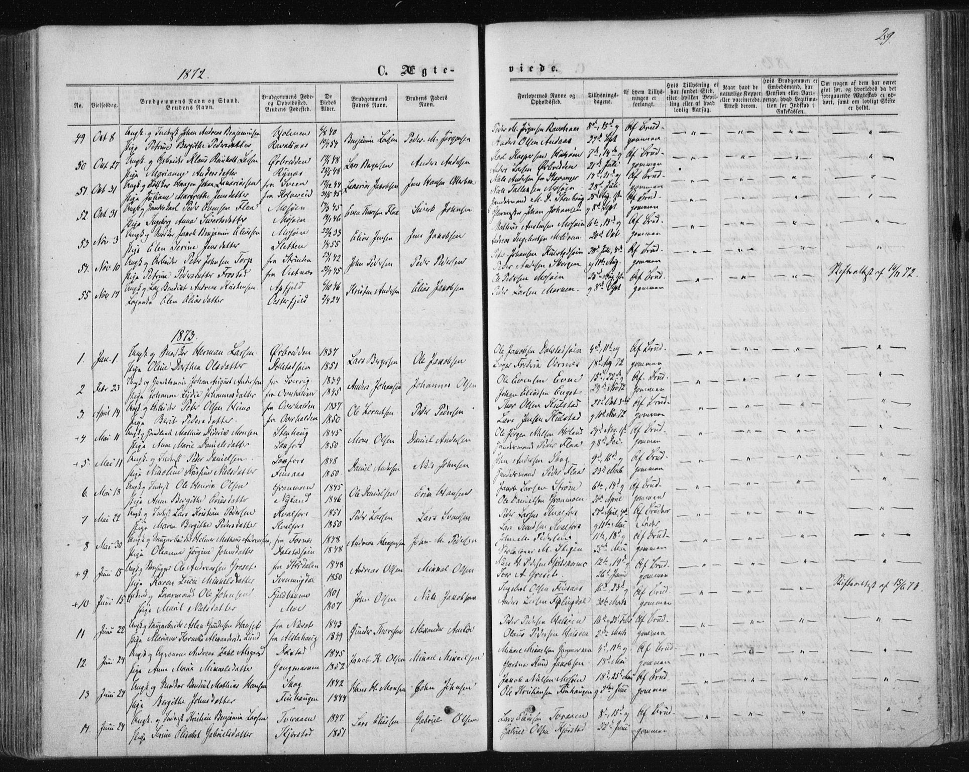 Ministerialprotokoller, klokkerbøker og fødselsregistre - Nordland, AV/SAT-A-1459/820/L0294: Ministerialbok nr. 820A15, 1866-1879, s. 259