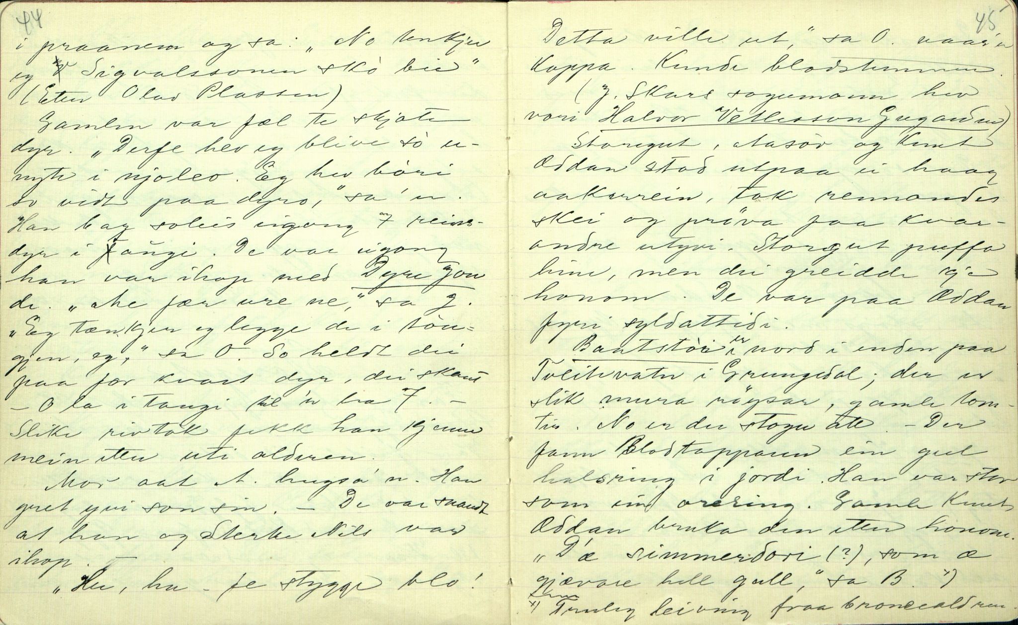 Rikard Berge, TEMU/TGM-A-1003/F/L0001/0025: 001-030 Innholdslister / 21. Biografi, ættesogur, 1902-1903, s. 44-45
