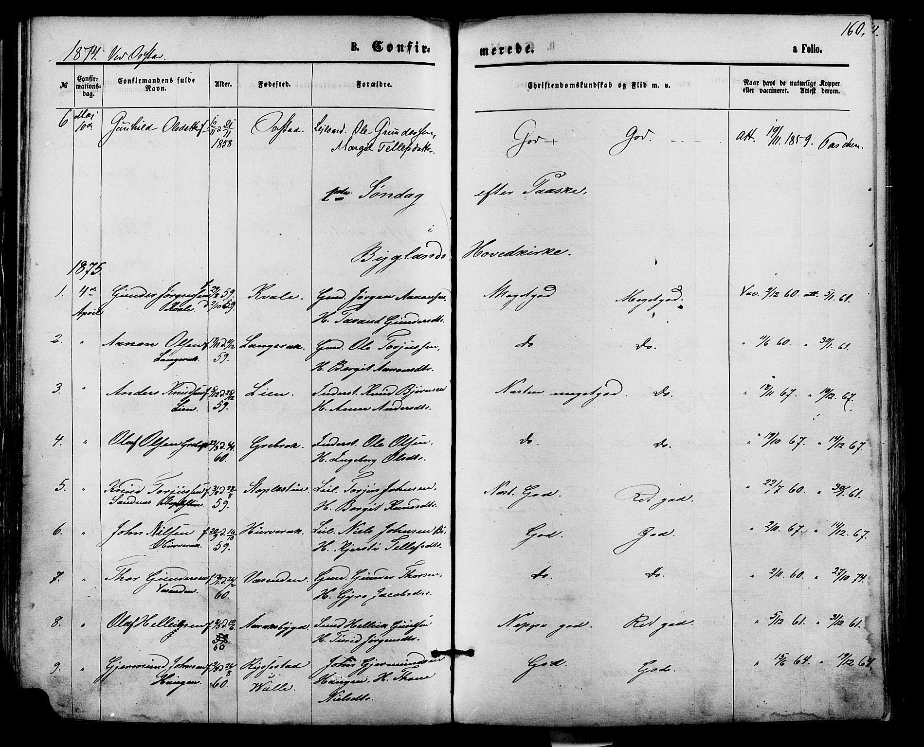 Bygland sokneprestkontor, SAK/1111-0006/F/Fa/Fab/L0006: Ministerialbok nr. A 6, 1873-1884, s. 160
