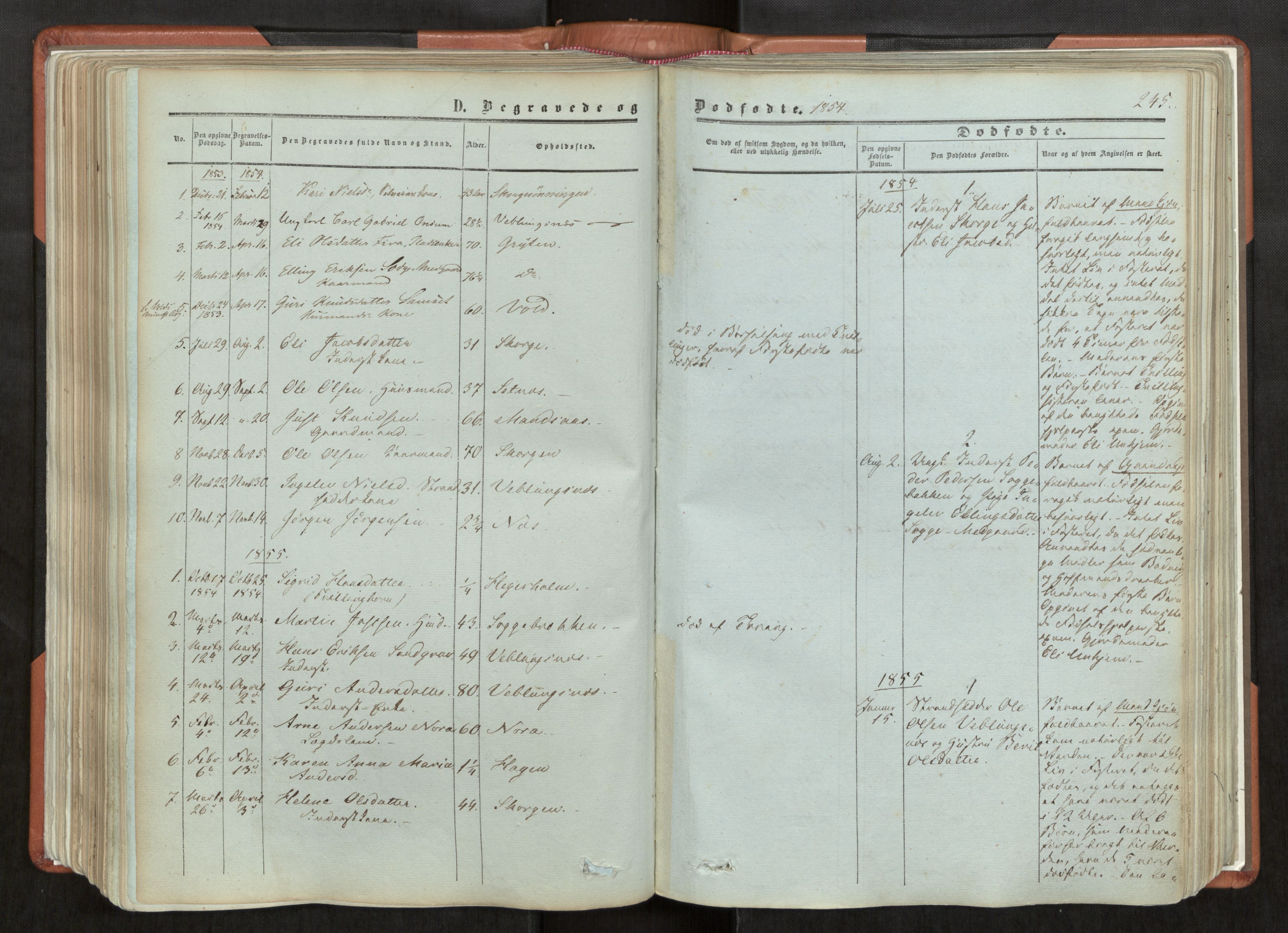 Ministerialprotokoller, klokkerbøker og fødselsregistre - Møre og Romsdal, AV/SAT-A-1454/544/L0572: Ministerialbok nr. 544A05, 1854-1886, s. 245