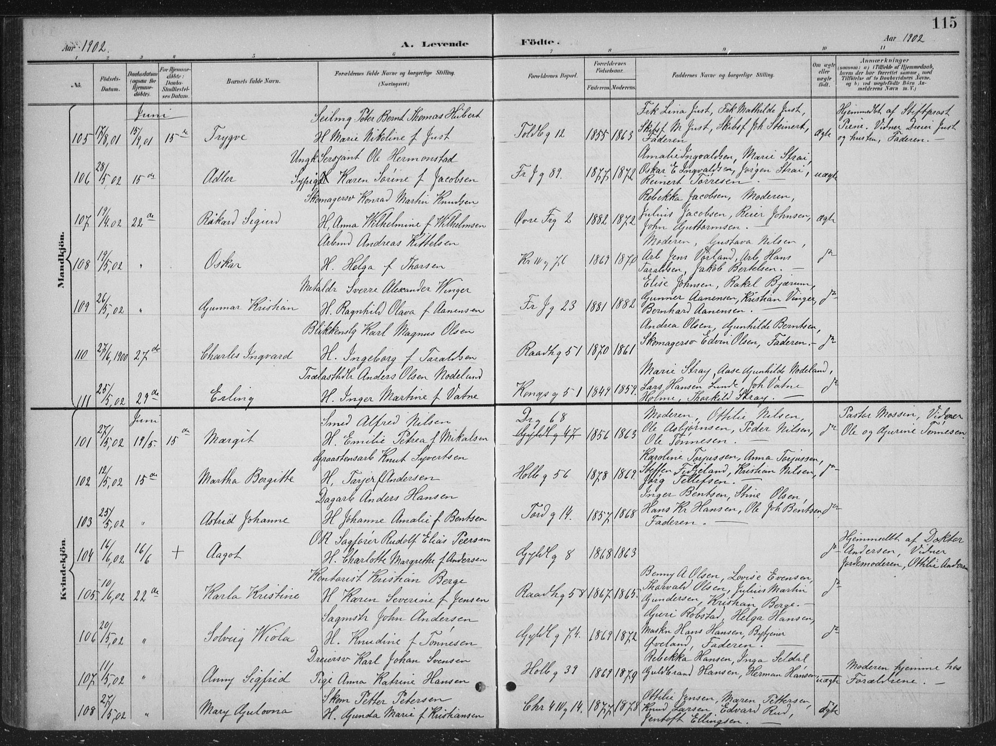 Kristiansand domprosti, AV/SAK-1112-0006/F/Fb/L0018: Klokkerbok nr. B 18, 1896-1905, s. 115