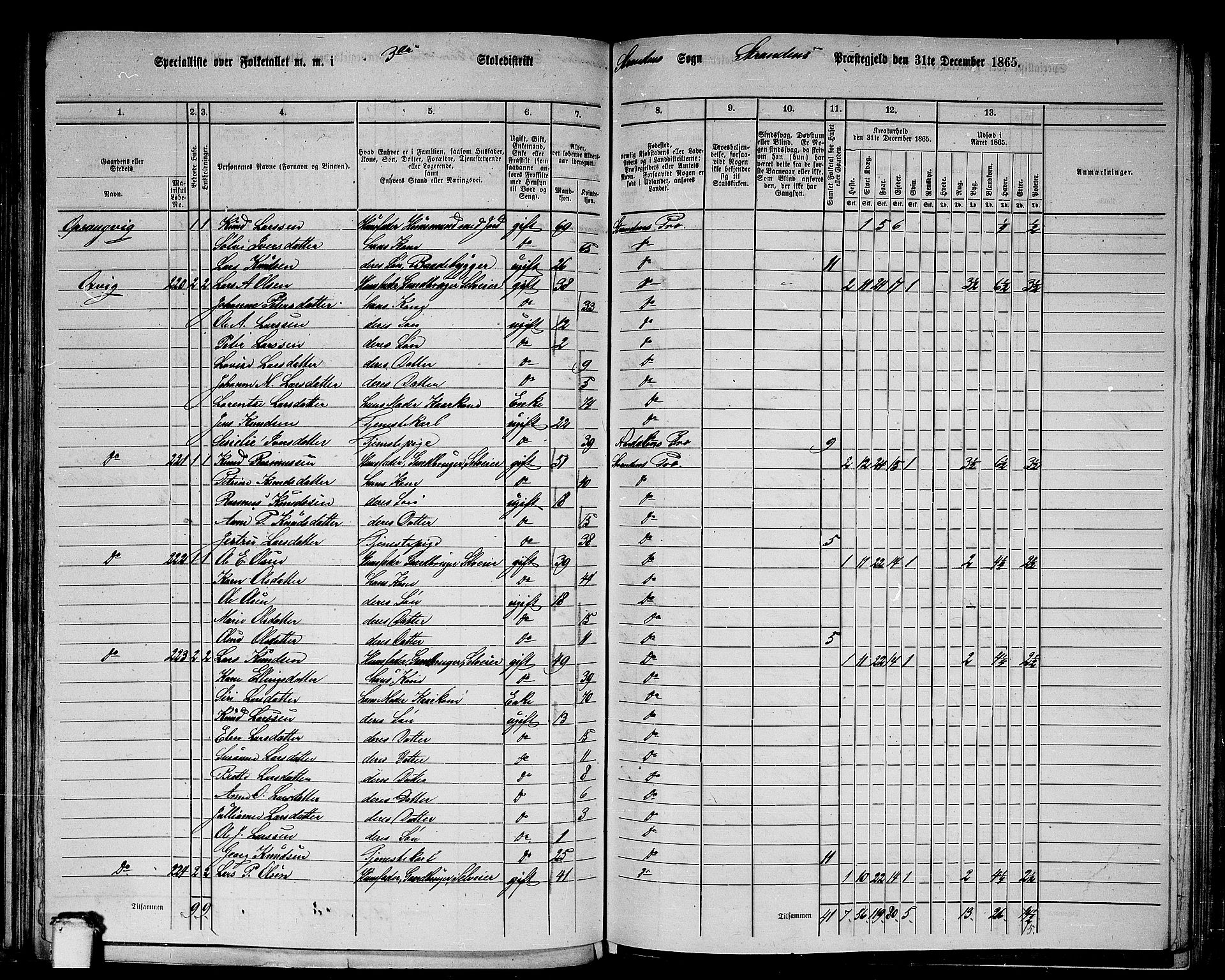 RA, Folketelling 1865 for 1525P Stranda prestegjeld, 1865, s. 13