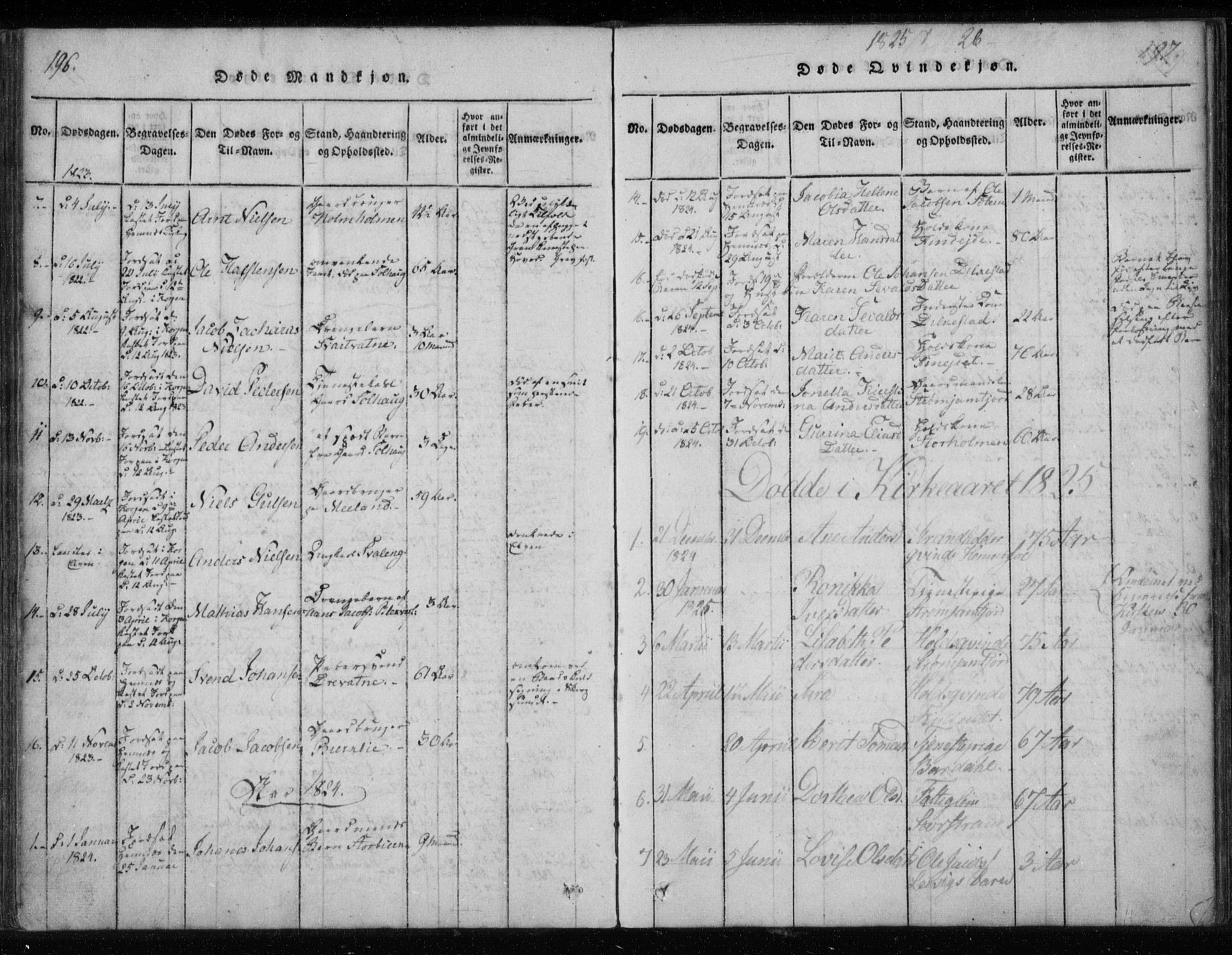 Ministerialprotokoller, klokkerbøker og fødselsregistre - Nordland, AV/SAT-A-1459/825/L0353: Ministerialbok nr. 825A07, 1820-1826, s. 196-197
