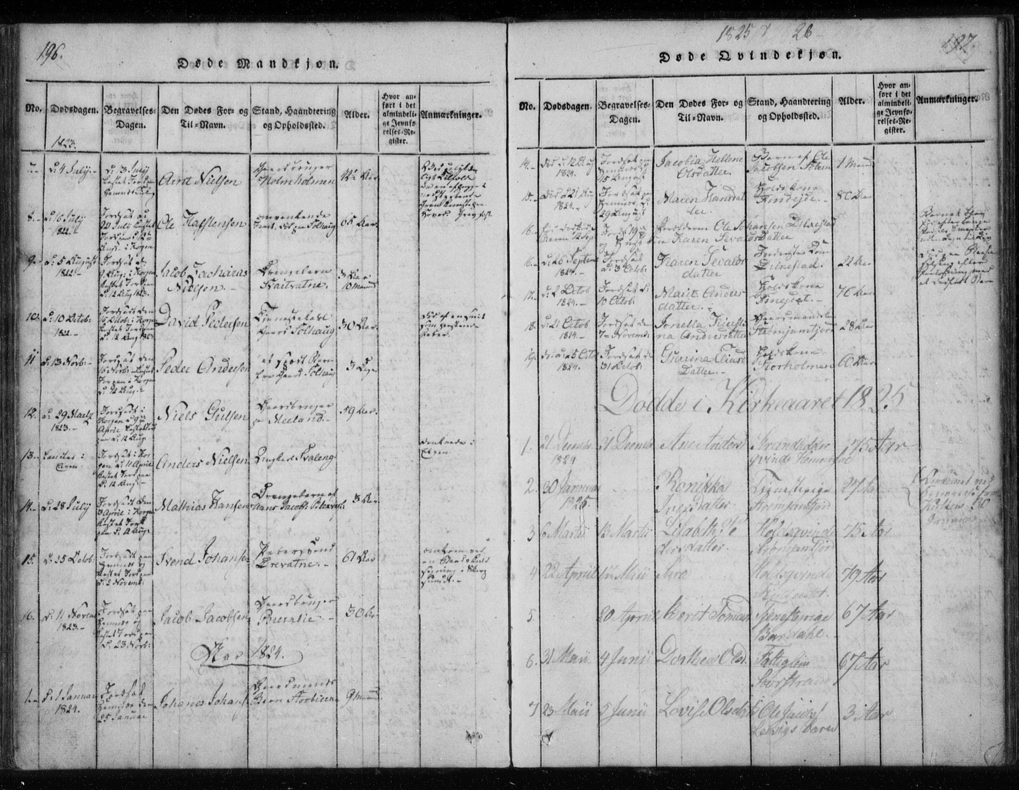 Ministerialprotokoller, klokkerbøker og fødselsregistre - Nordland, SAT/A-1459/825/L0353: Ministerialbok nr. 825A07, 1820-1826, s. 196-197