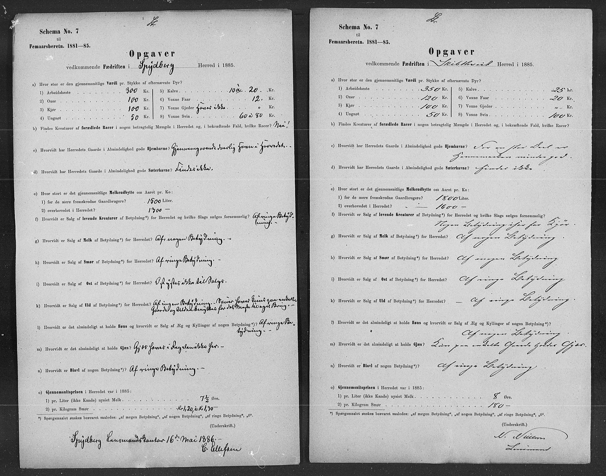 Statistisk sentralbyrå, Næringsøkonomiske emner, Generelt - Amtmennenes femårsberetninger, AV/RA-S-2233/F/Fa/L0060: --, 1881-1885, s. 3