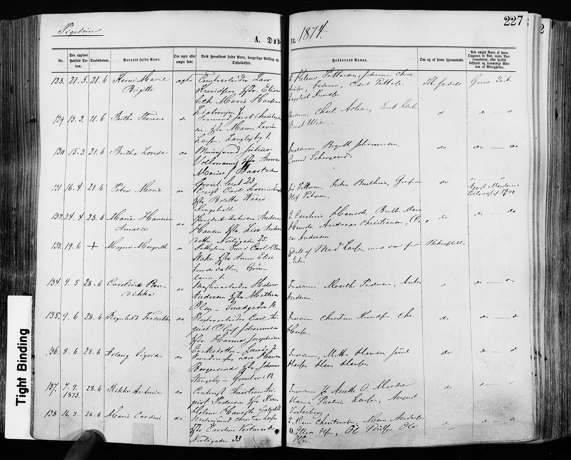 Grønland prestekontor Kirkebøker, SAO/A-10848/F/Fa/L0004: Ministerialbok nr. 4, 1869-1880, s. 227