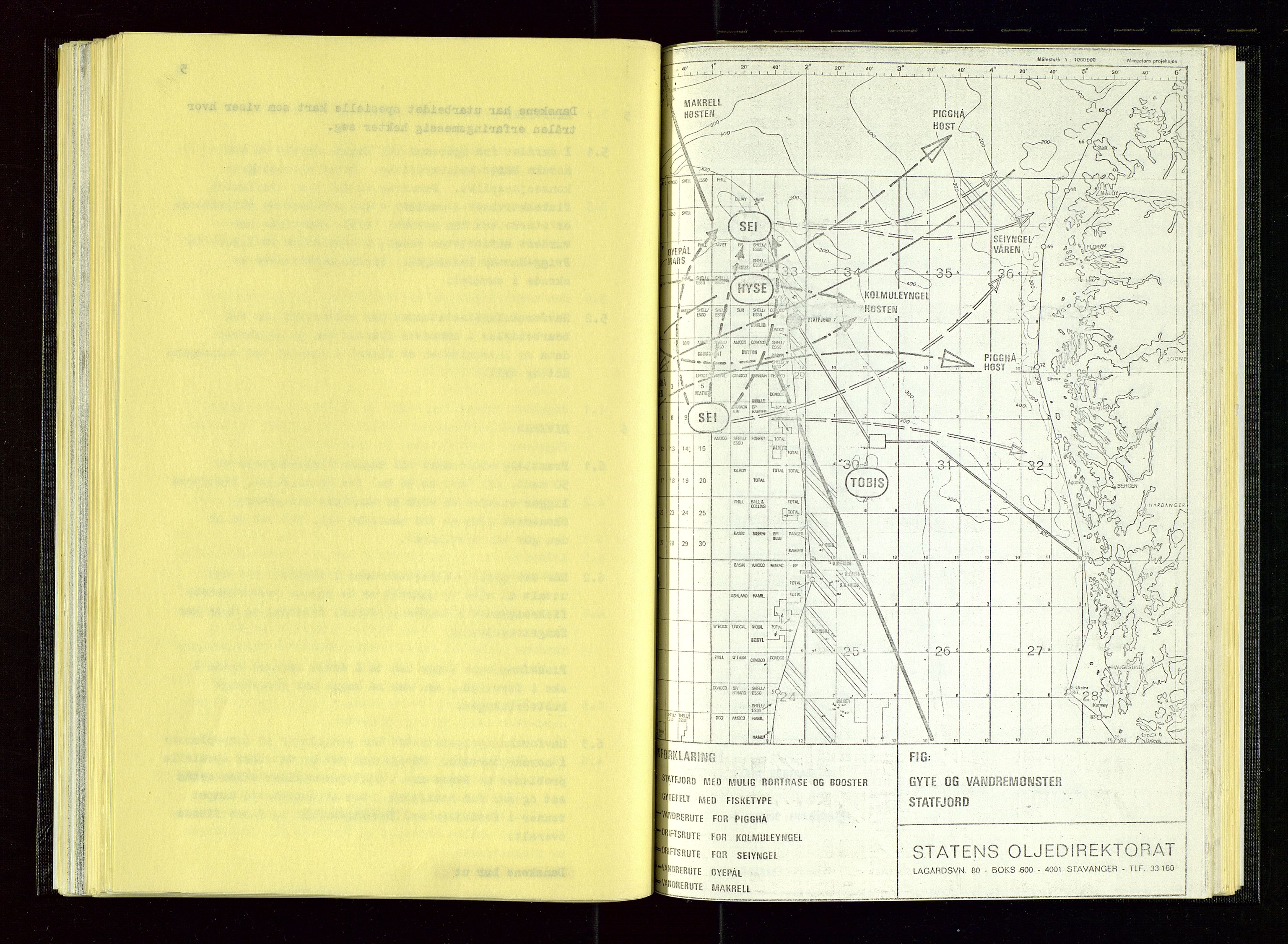 Oljedirektoratet, AV/SAST-A-101366/Aa/L0004: Referatprotokoller, 1975