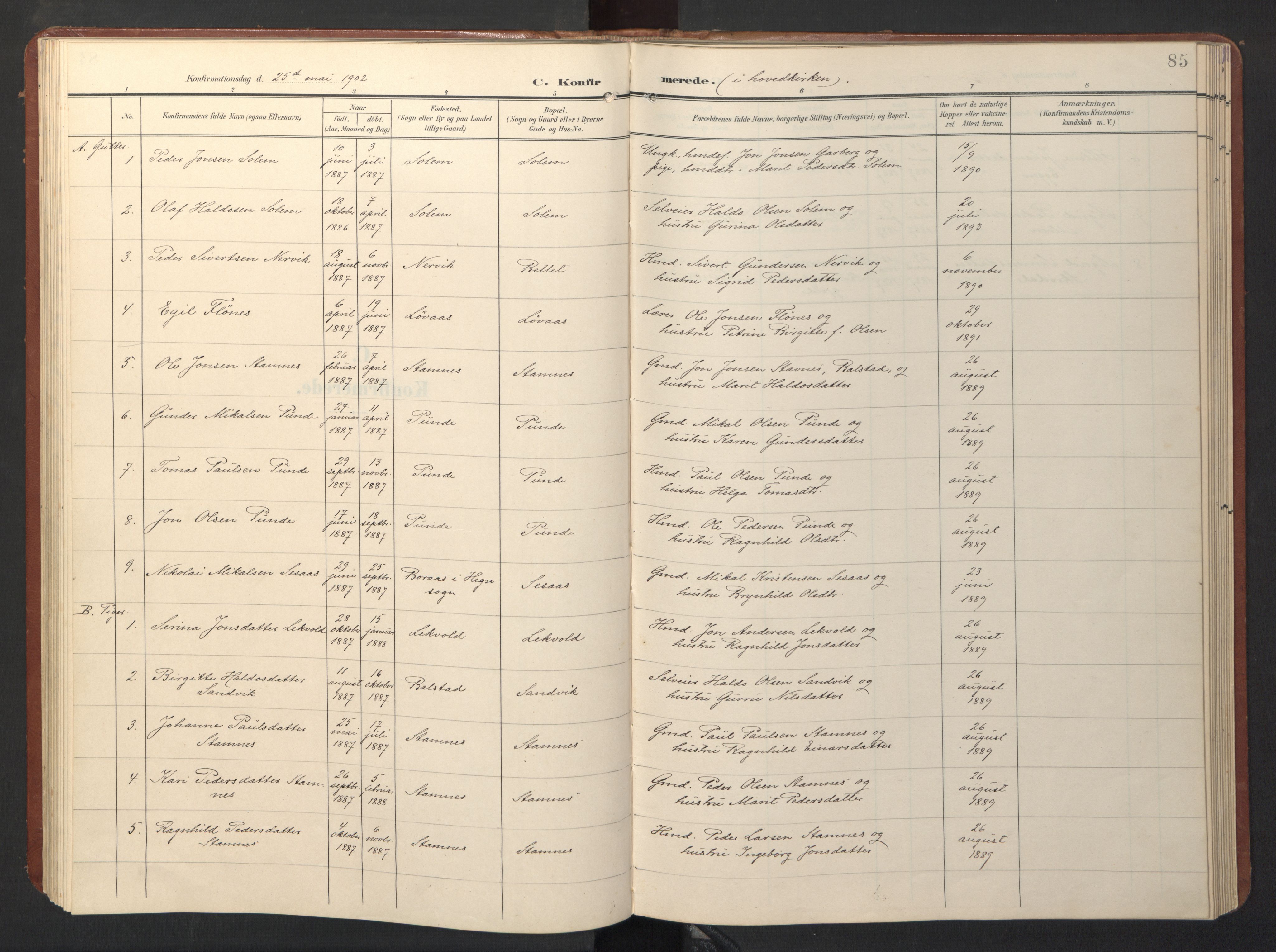 Ministerialprotokoller, klokkerbøker og fødselsregistre - Sør-Trøndelag, AV/SAT-A-1456/696/L1161: Klokkerbok nr. 696C01, 1902-1950, s. 85