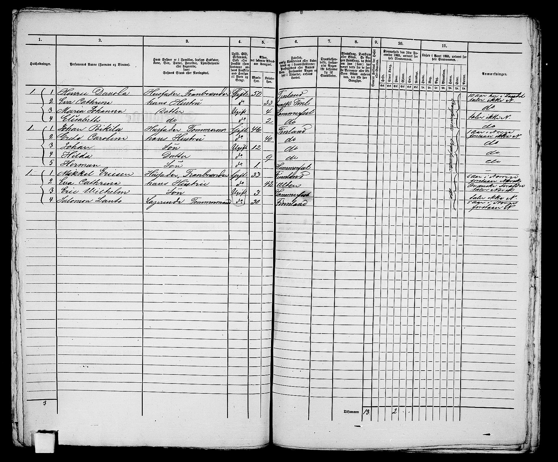 RA, Folketelling 1865 for 2001B Hammerfest prestegjeld, Hammerfest kjøpstad, 1865, s. 329