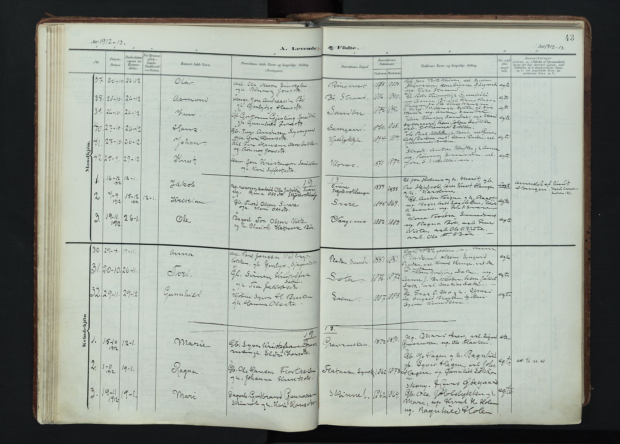 Vågå prestekontor, AV/SAH-PREST-076/H/Ha/Haa/L0011: Ministerialbok nr. 11, 1905-1924, s. 43