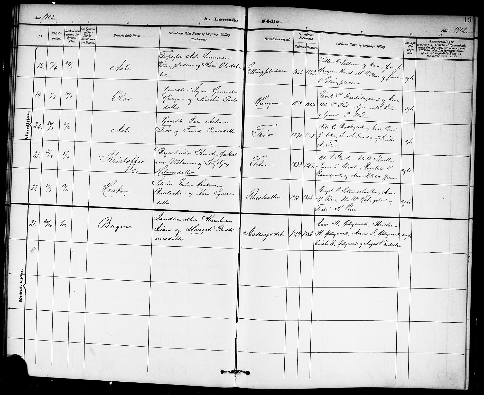 Hol kirkebøker, AV/SAKO-A-227/G/Ga/L0001: Klokkerbok nr. I 1, 1900-1919, s. 19