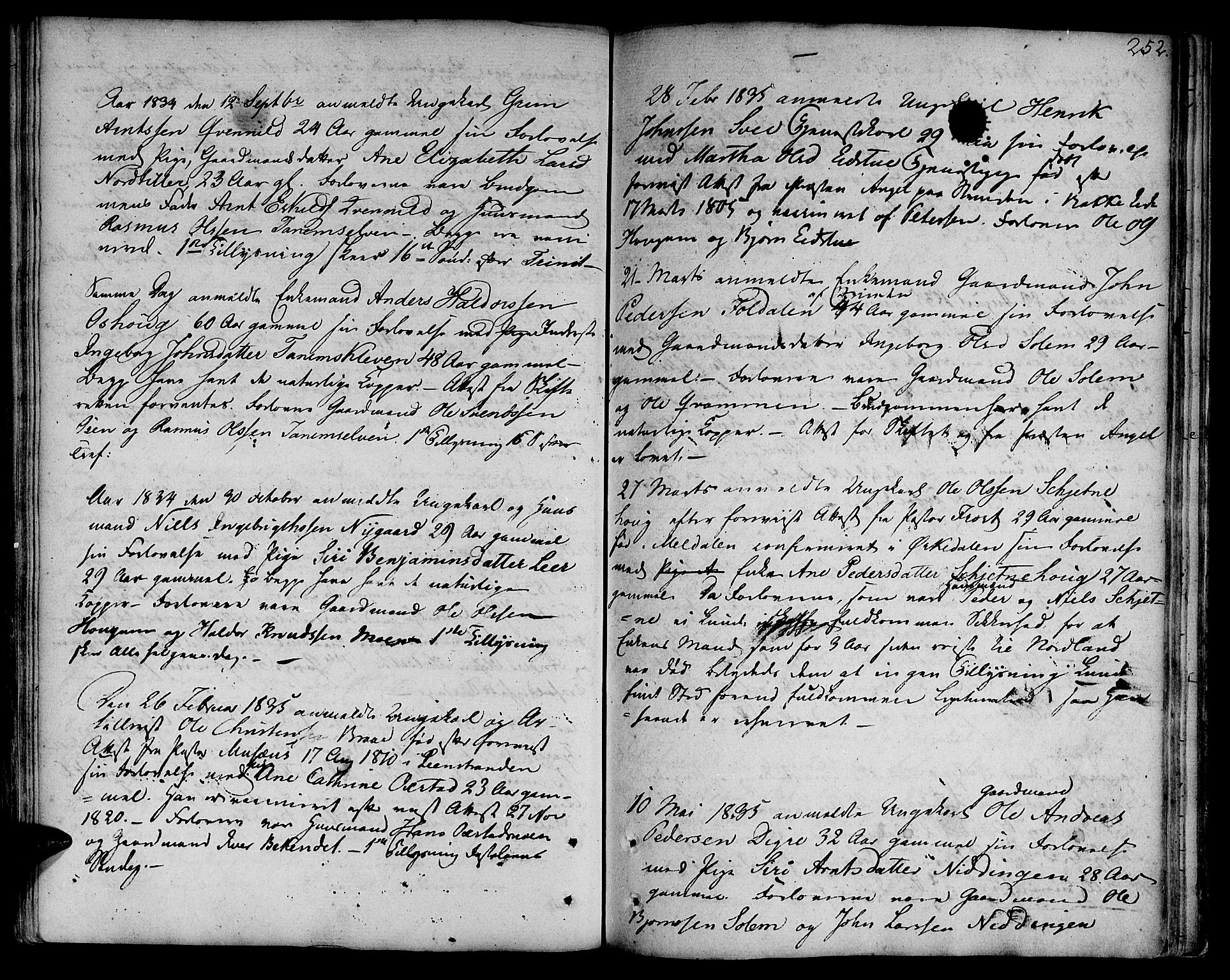 Ministerialprotokoller, klokkerbøker og fødselsregistre - Sør-Trøndelag, AV/SAT-A-1456/618/L0438: Ministerialbok nr. 618A03, 1783-1815, s. 252