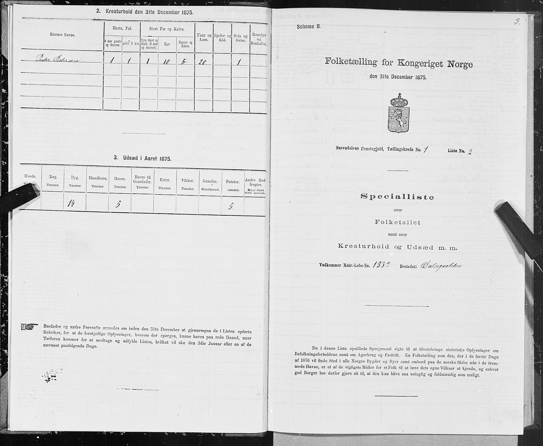 SAT, Folketelling 1875 for 1566P Surnadal prestegjeld, 1875, s. 1003