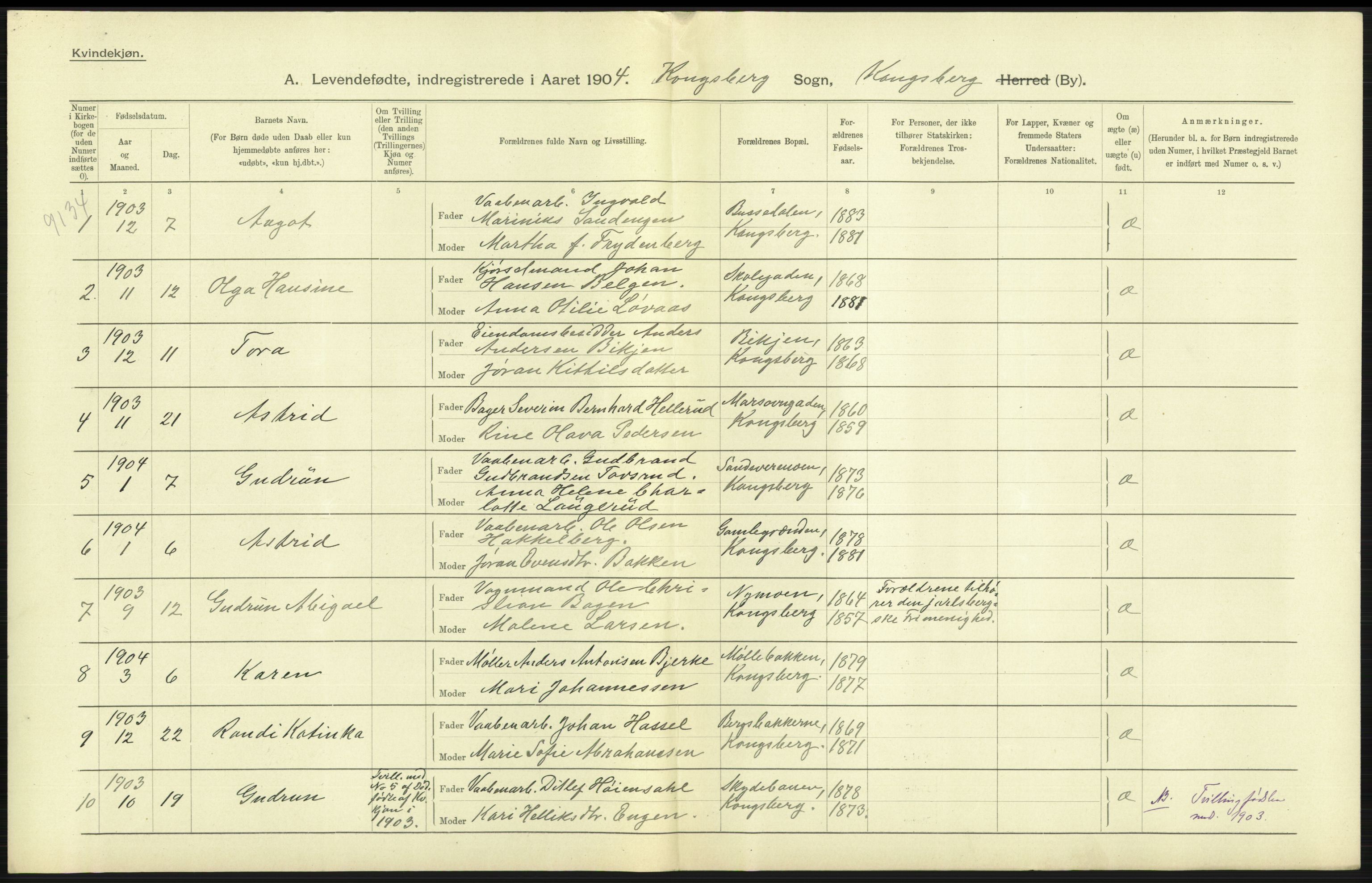 Statistisk sentralbyrå, Sosiodemografiske emner, Befolkning, AV/RA-S-2228/D/Df/Dfa/Dfab/L0007: Buskerud amt: Fødte, gifte, døde, 1904, s. 493