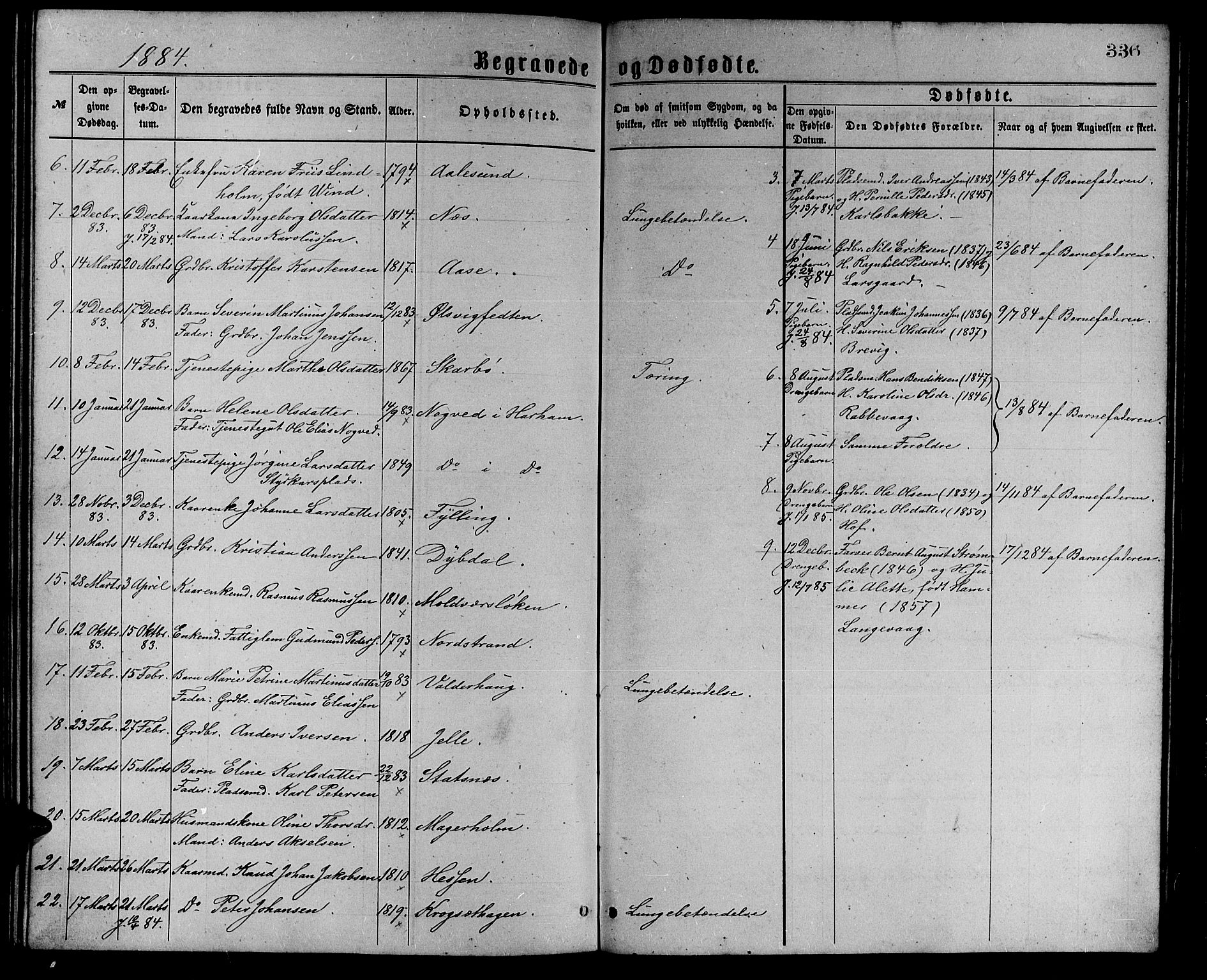 Ministerialprotokoller, klokkerbøker og fødselsregistre - Møre og Romsdal, AV/SAT-A-1454/528/L0429: Klokkerbok nr. 528C10, 1872-1886, s. 336