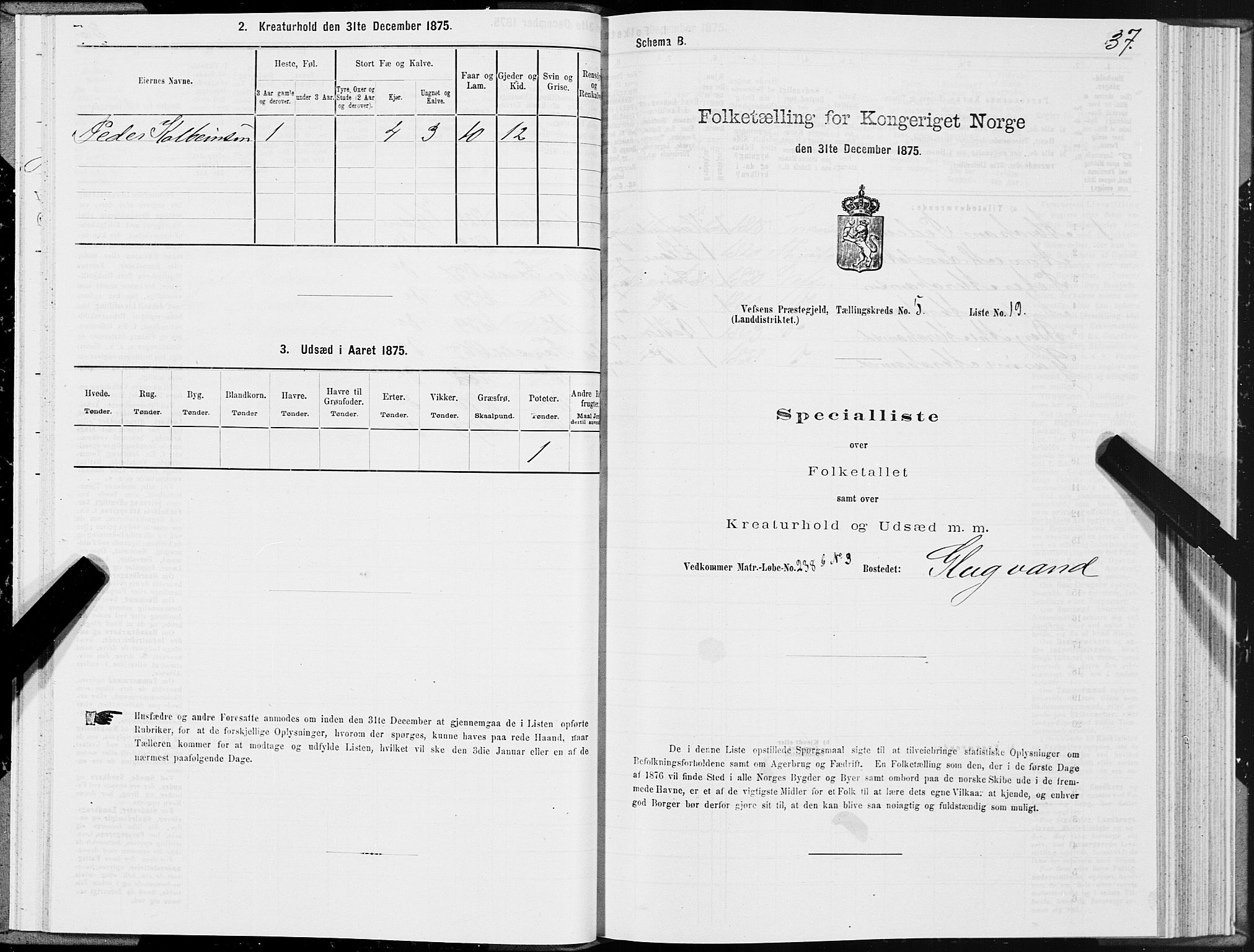 SAT, Folketelling 1875 for 1824L Vefsn prestegjeld, Vefsn sokn, 1875, s. 2037