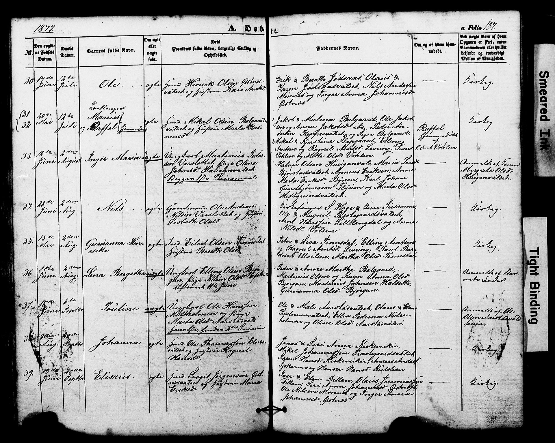 Ministerialprotokoller, klokkerbøker og fødselsregistre - Nord-Trøndelag, AV/SAT-A-1458/724/L0268: Klokkerbok nr. 724C04, 1846-1878, s. 187