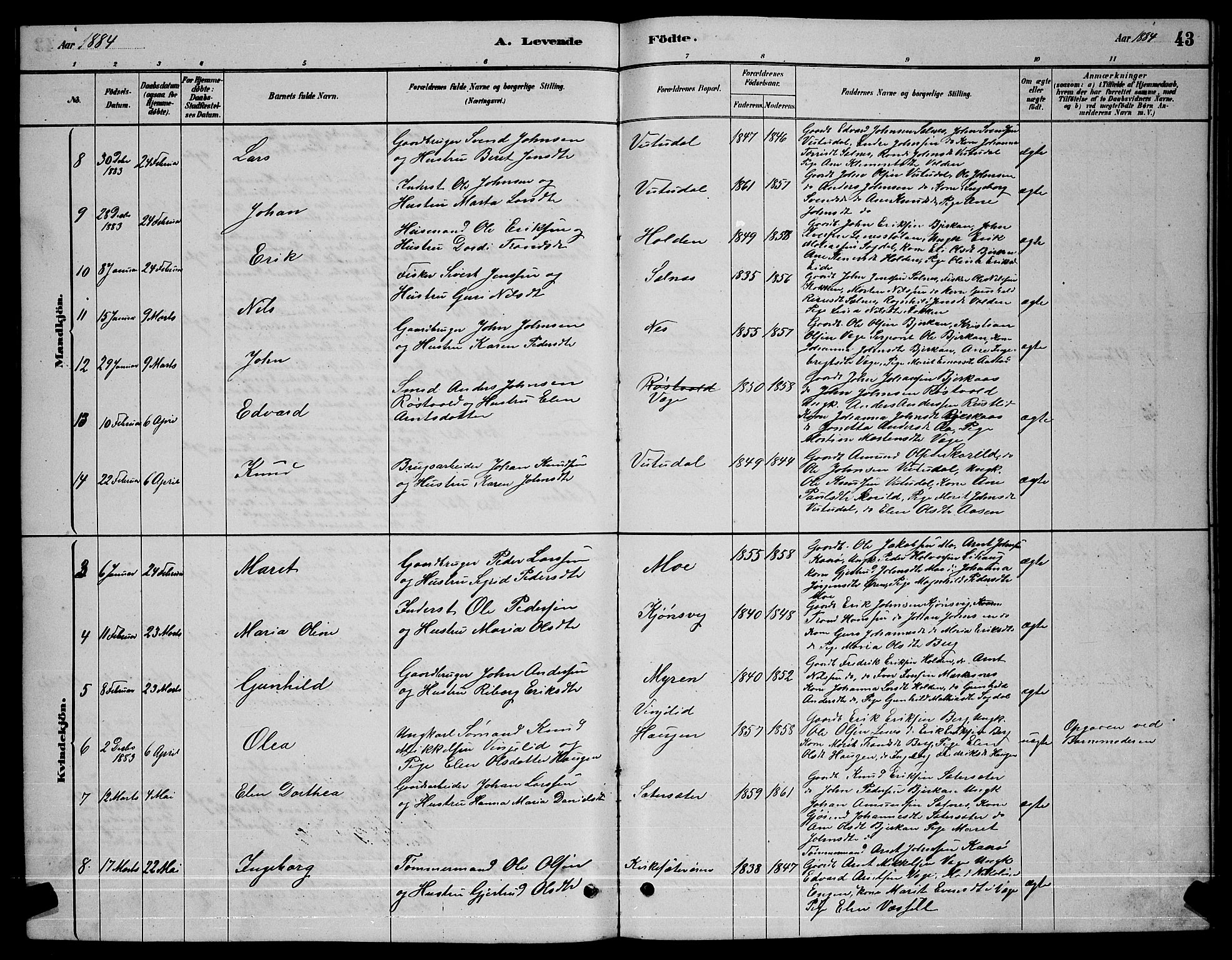 Ministerialprotokoller, klokkerbøker og fødselsregistre - Sør-Trøndelag, AV/SAT-A-1456/630/L0504: Klokkerbok nr. 630C02, 1879-1898, s. 43