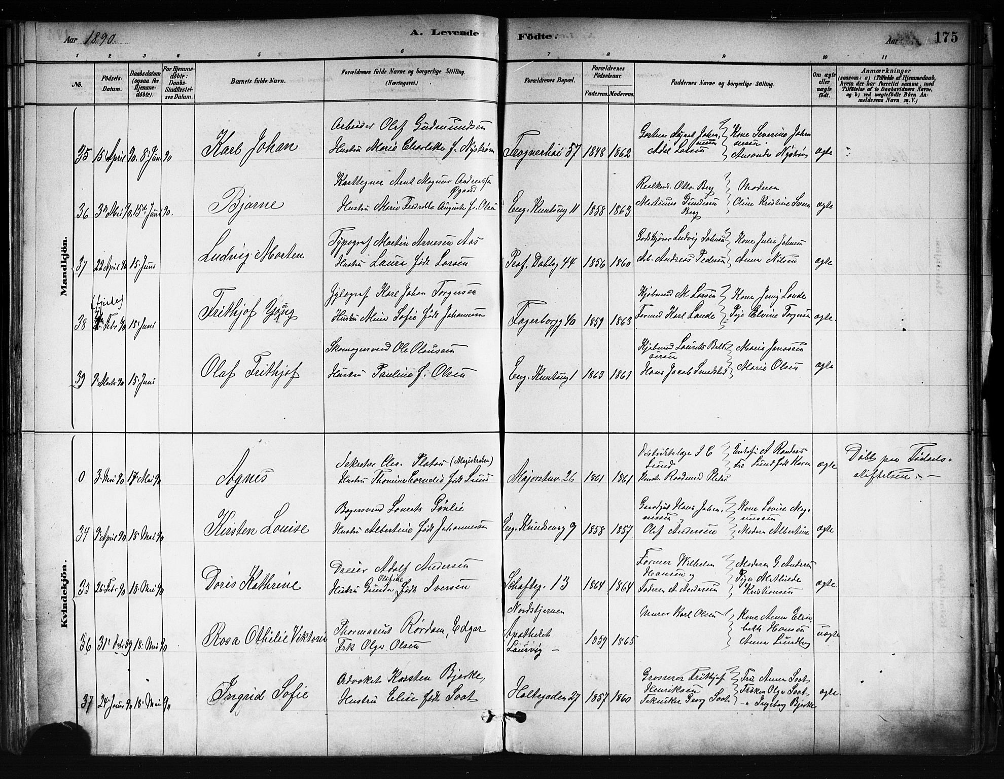 Uranienborg prestekontor Kirkebøker, AV/SAO-A-10877/F/Fa/L0001: Ministerialbok nr. 1, 1880-1895, s. 175