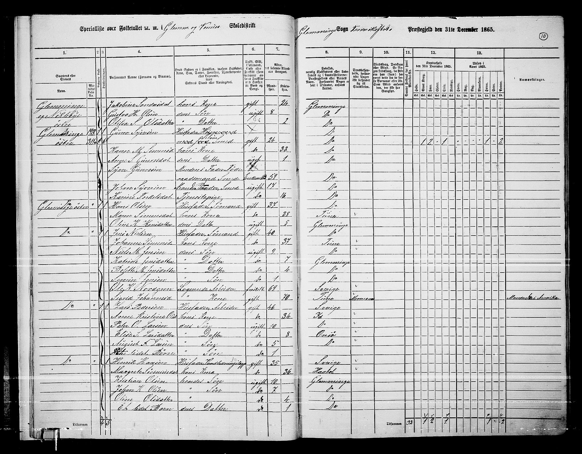 RA, Folketelling 1865 for 0132L Fredrikstad prestegjeld, Glemmen sokn, 1865, s. 12