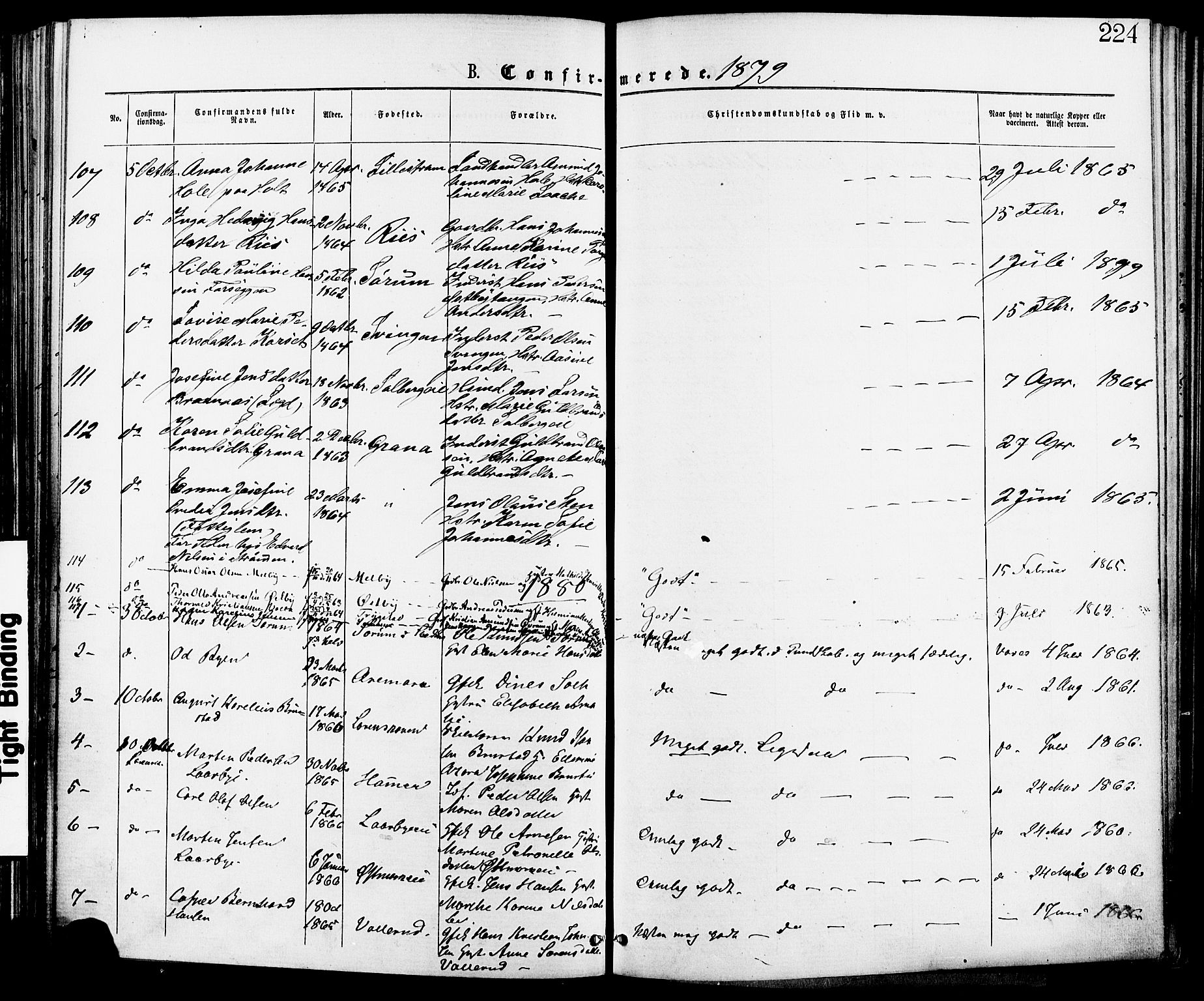 Skedsmo prestekontor Kirkebøker, SAO/A-10033a/F/Fa/L0012: Ministerialbok nr. I 12, 1876-1883, s. 224
