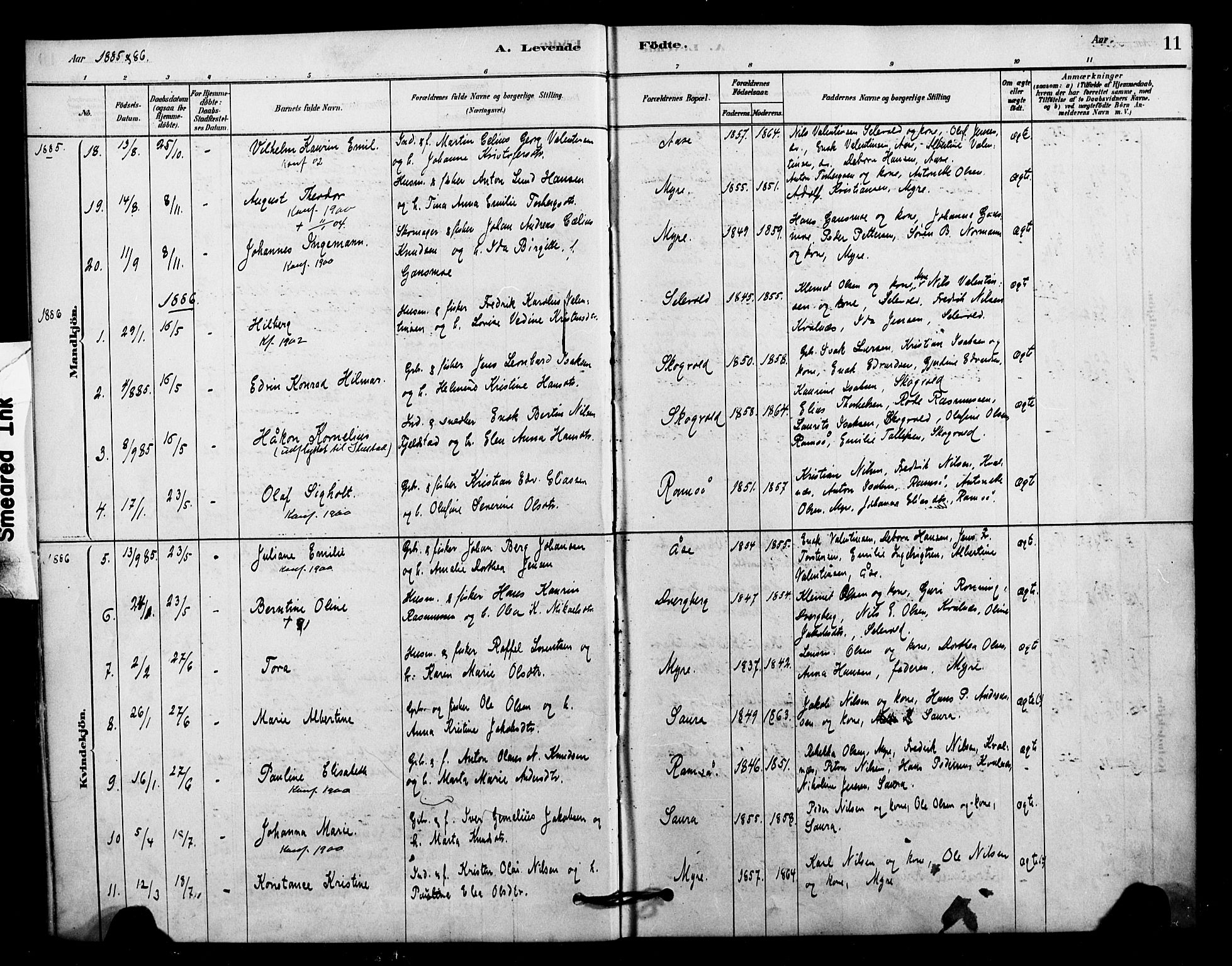 Ministerialprotokoller, klokkerbøker og fødselsregistre - Nordland, AV/SAT-A-1459/897/L1399: Ministerialbok nr. 897C06, 1881-1896, s. 11