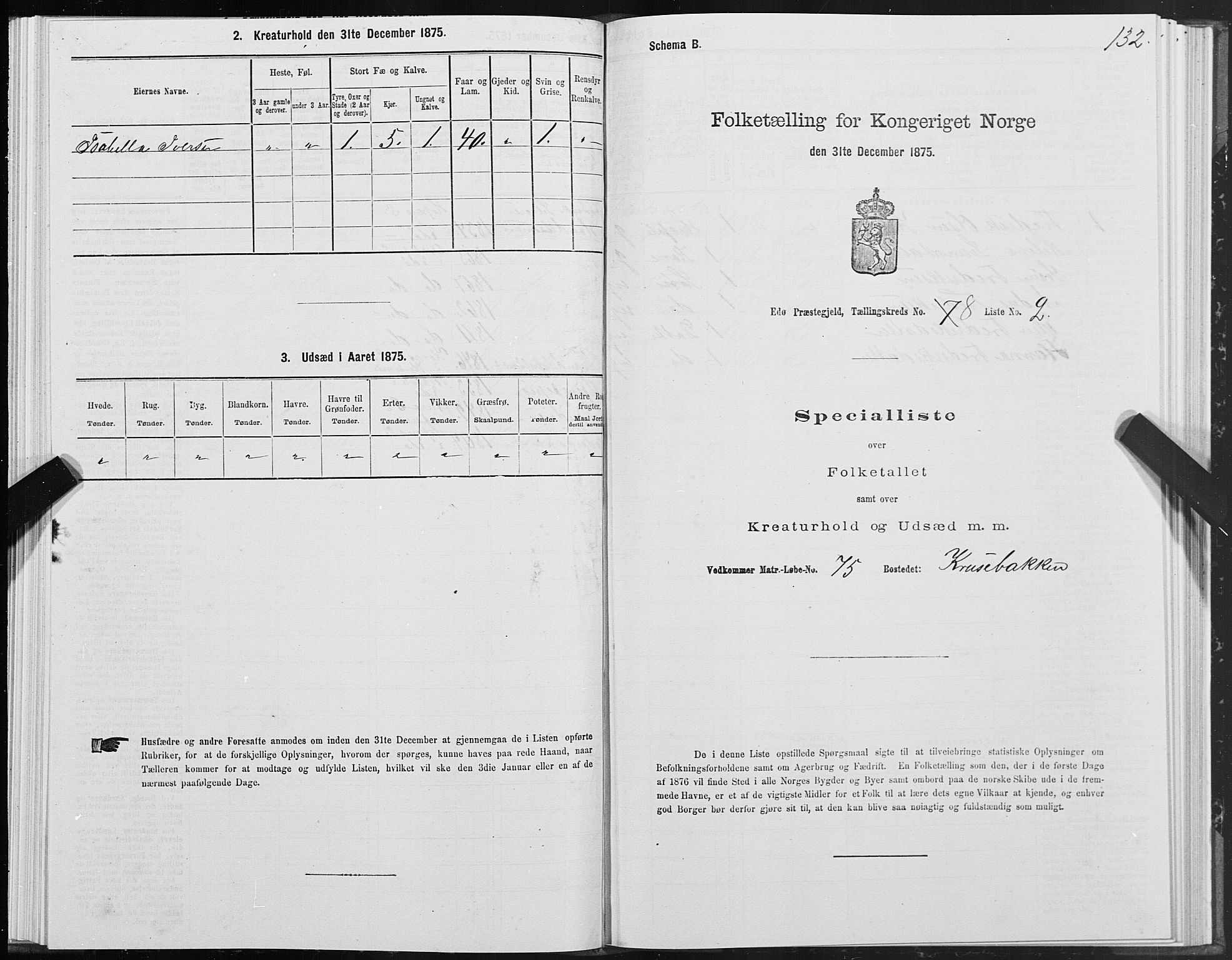 SAT, Folketelling 1875 for 1573P Edøy prestegjeld, 1875, s. 3132