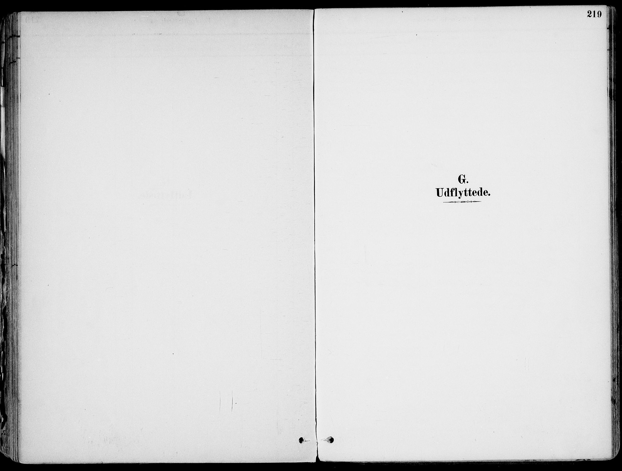 Larvik kirkebøker, SAKO/A-352/F/Fb/L0004: Ministerialbok nr. II 4, 1884-1902, s. 219