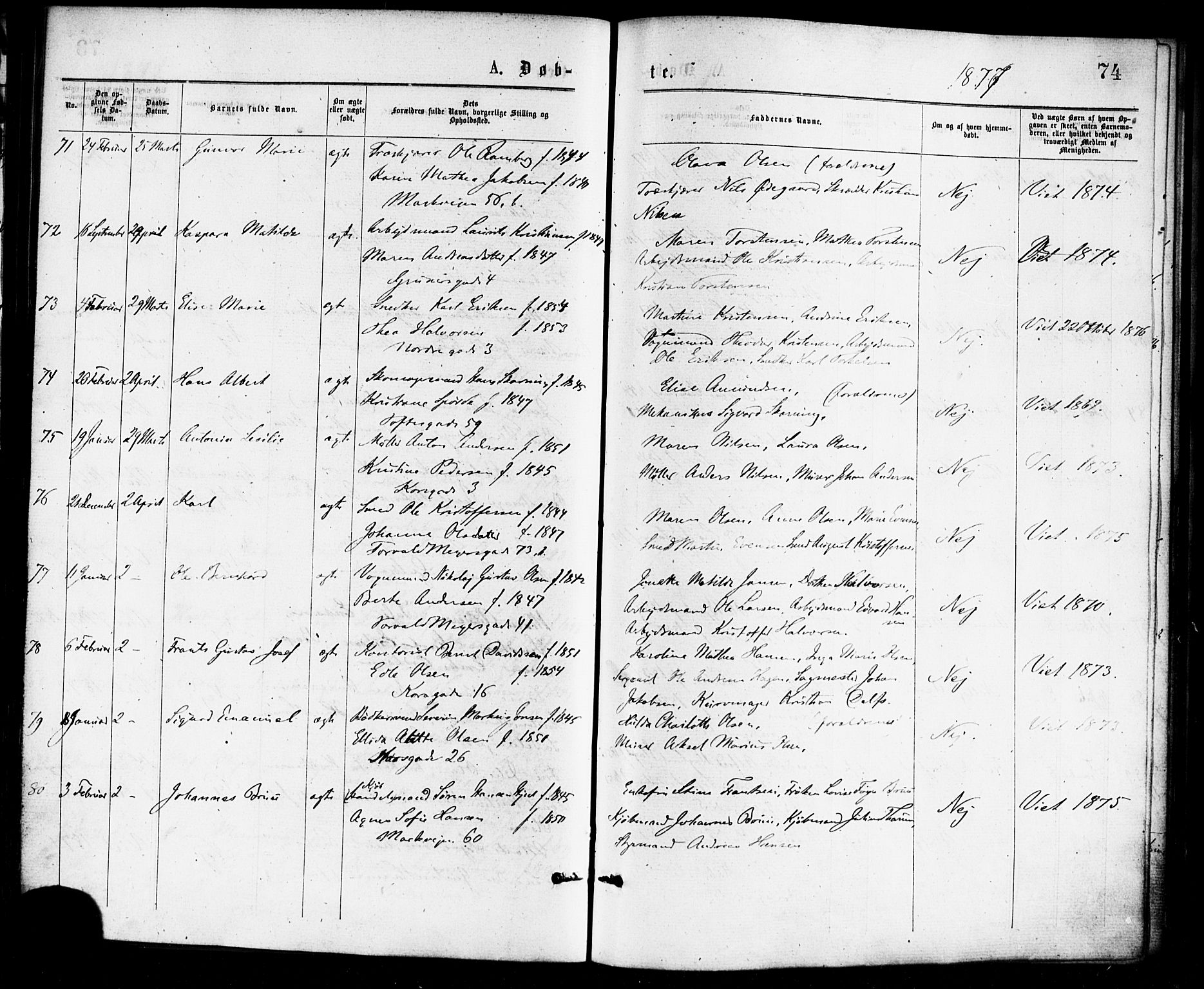 Paulus prestekontor Kirkebøker, AV/SAO-A-10871/F/Fa/L0001: Ministerialbok nr. 1, 1875-1878, s. 74
