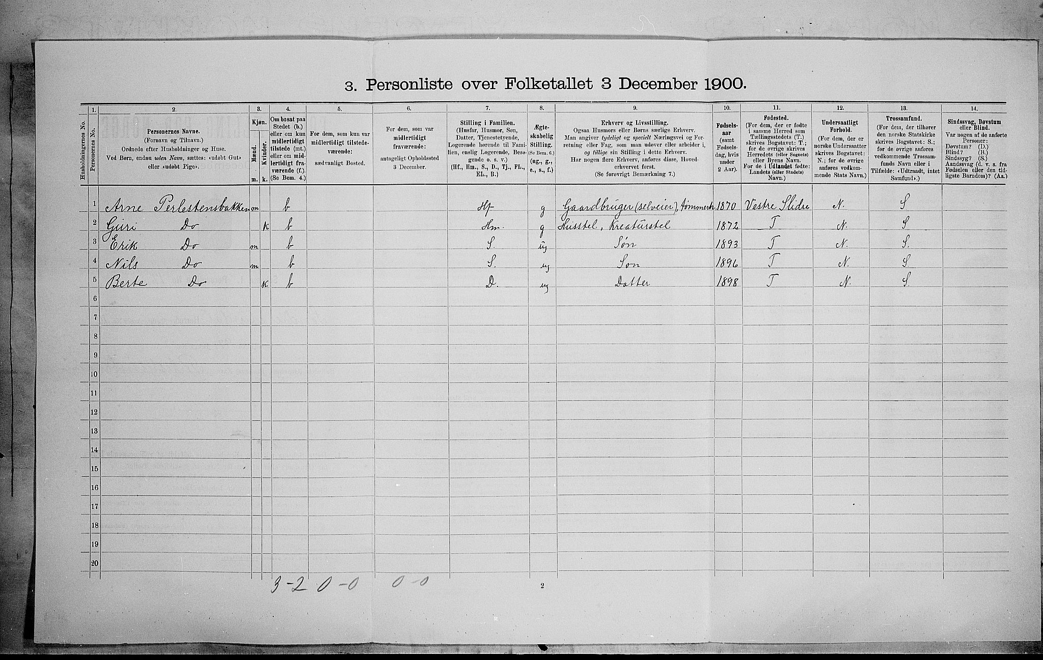 SAH, Folketelling 1900 for 0540 Sør-Aurdal herred, 1900, s. 1216