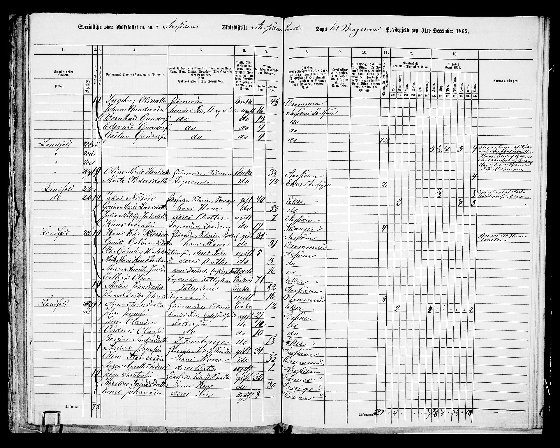 RA, Folketelling 1865 for 0691L Bragernes prestegjeld, Åssiden sokn, 1865, s. 22