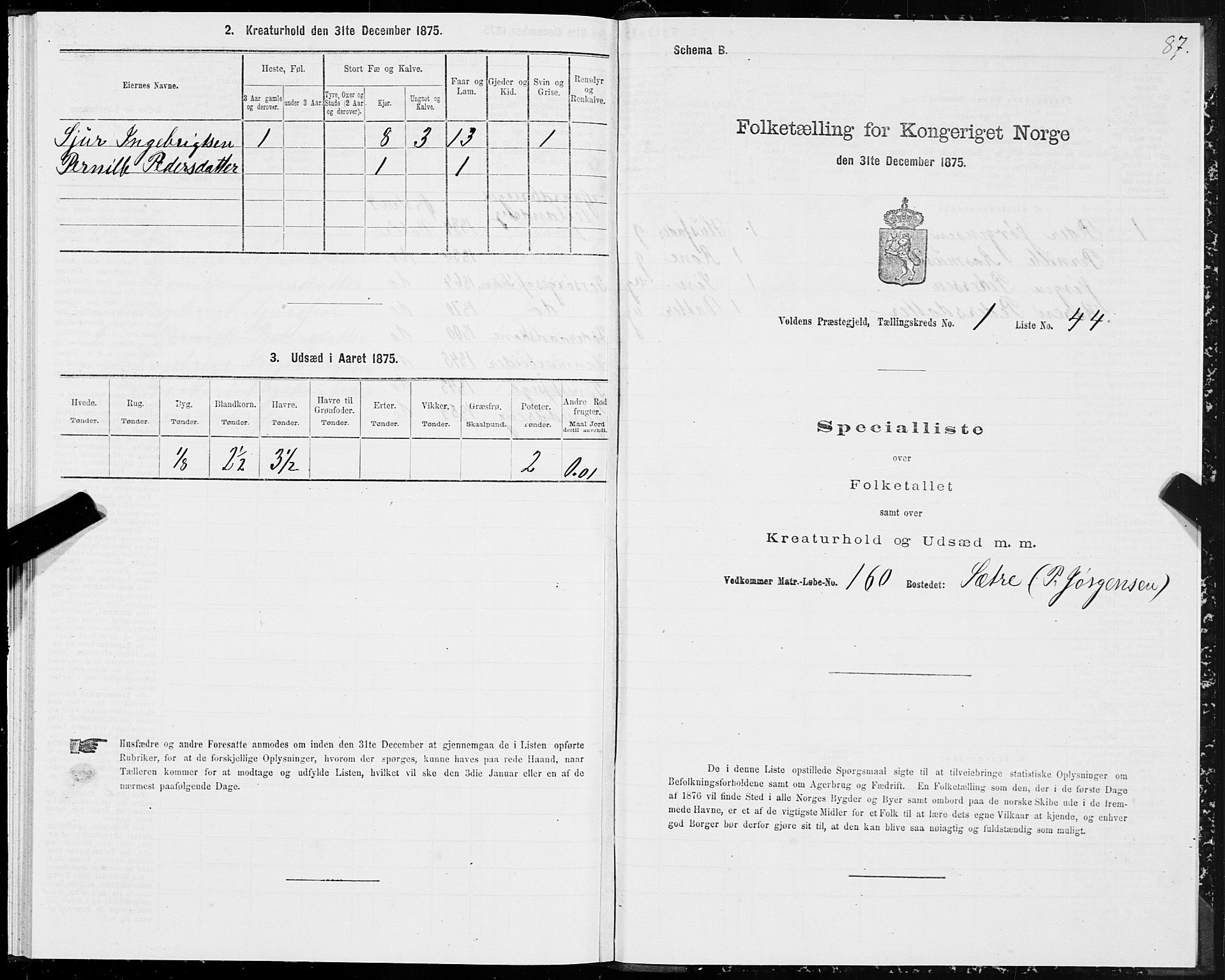 SAT, Folketelling 1875 for 1519P Volda prestegjeld, 1875, s. 1087