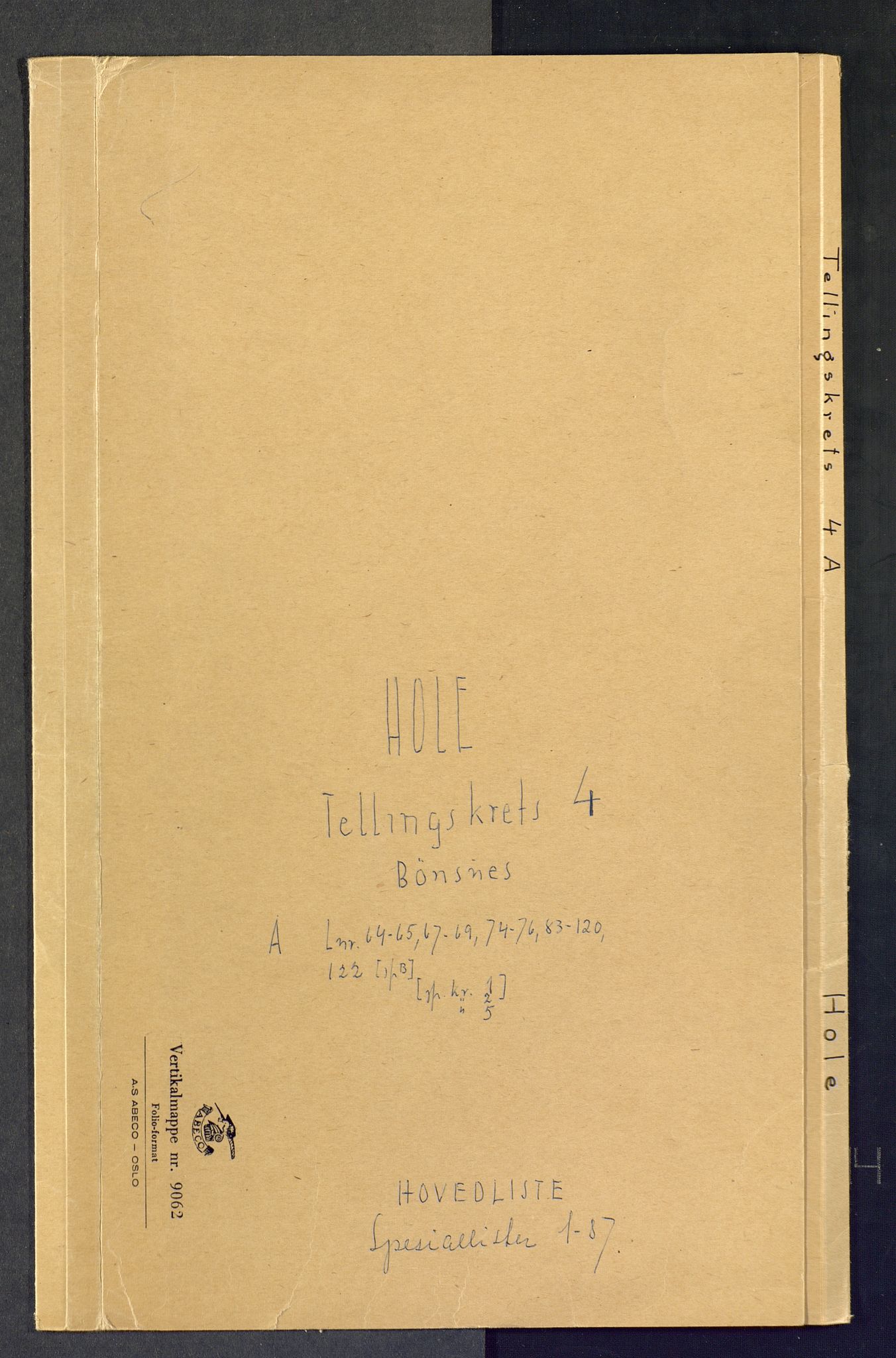 SAKO, Folketelling 1875 for 0612P Hole prestegjeld, 1875, s. 16