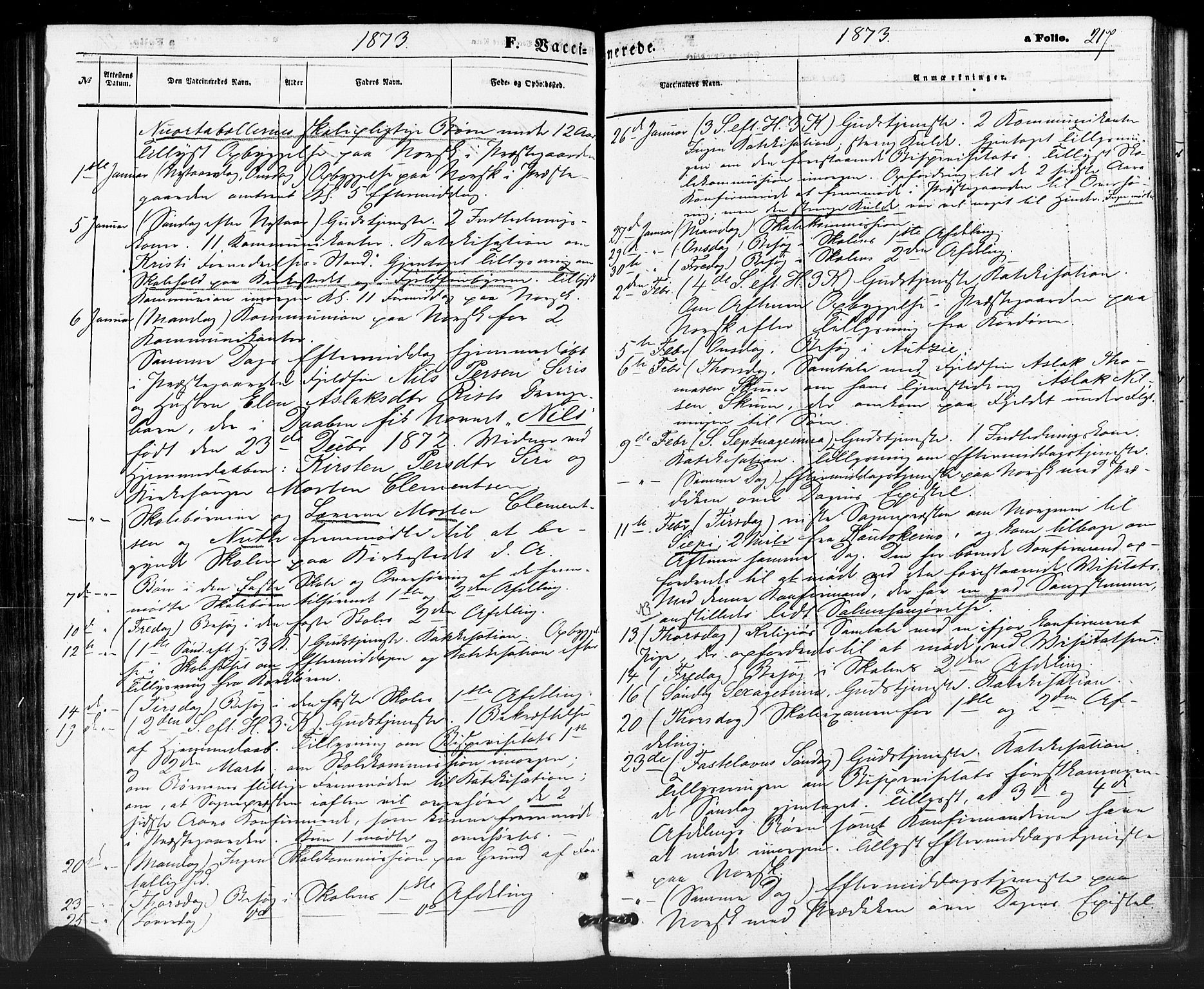 Kautokeino sokneprestembete, AV/SATØ-S-1340/H/Ha/L0003.kirke: Ministerialbok nr. 3, 1862-1879, s. 217