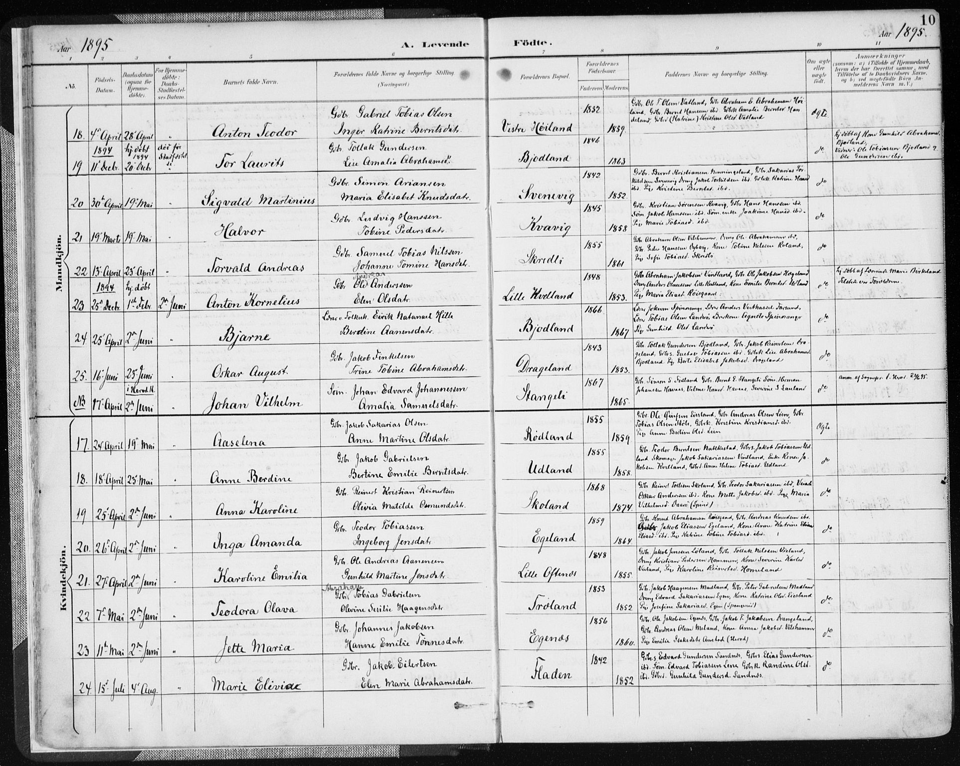 Lyngdal sokneprestkontor, AV/SAK-1111-0029/F/Fa/Fac/L0012: Ministerialbok nr. A 12, 1894-1918, s. 10