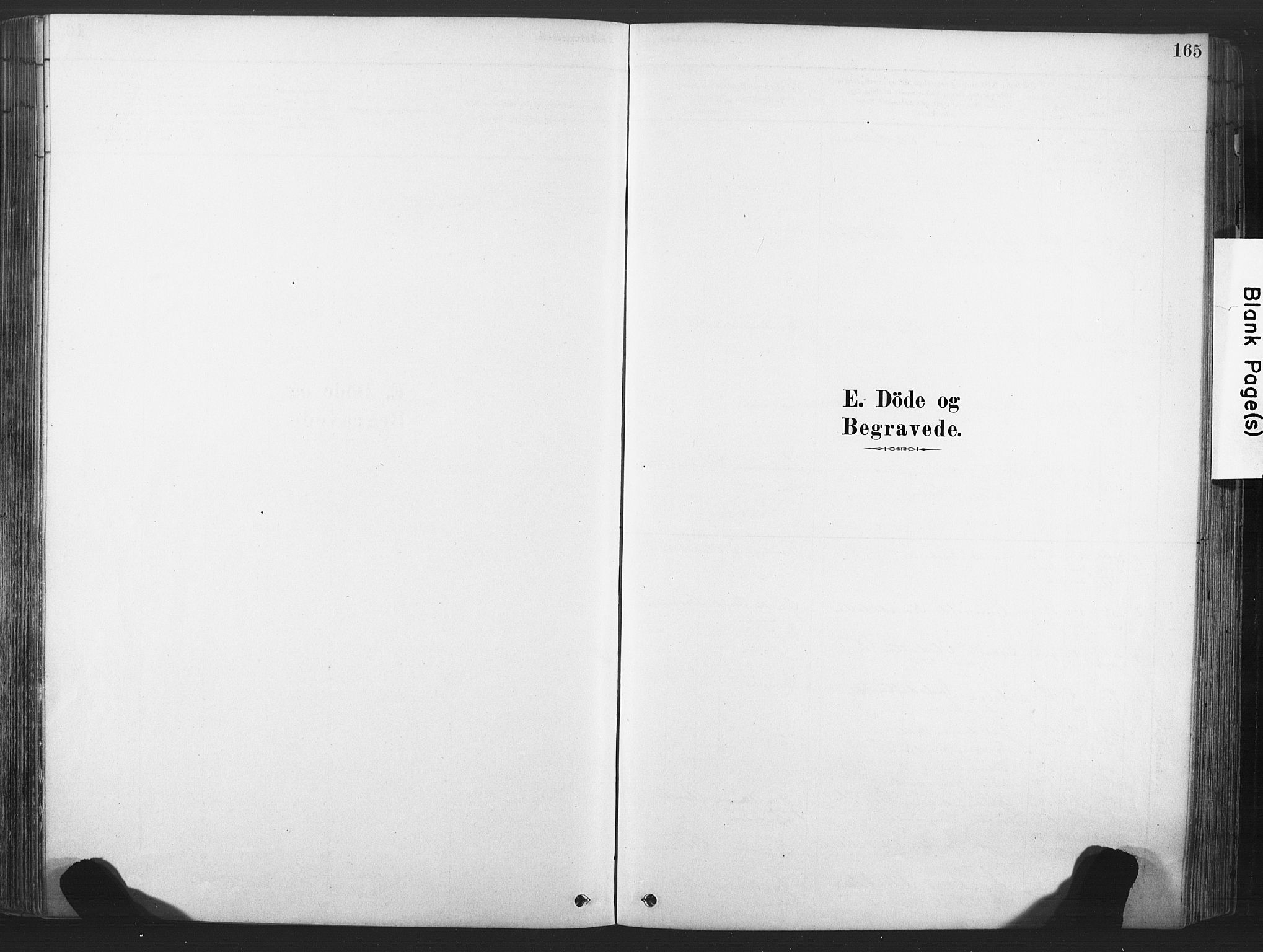 Rollag kirkebøker, SAKO/A-240/F/Fa/L0011: Ministerialbok nr. I 11, 1878-1902, s. 165