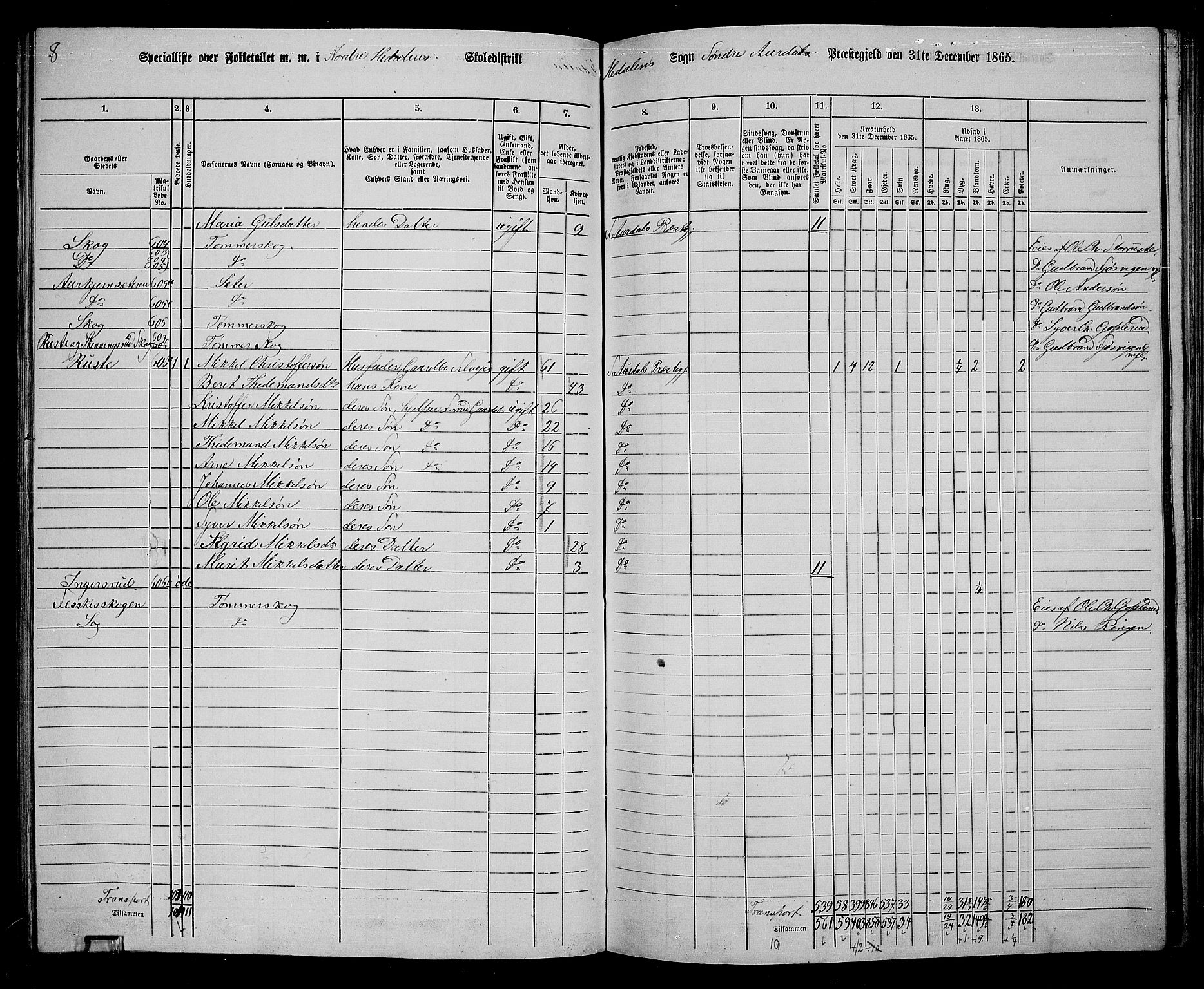 RA, Folketelling 1865 for 0540P Sør-Aurdal prestegjeld, 1865, s. 165