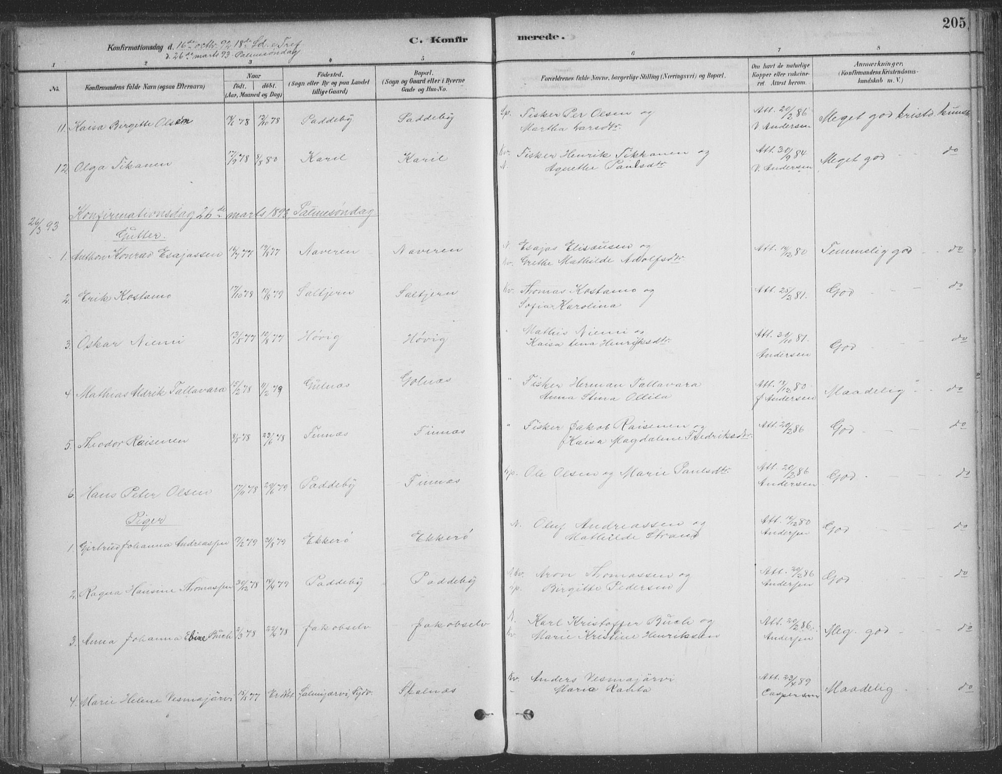 Vadsø sokneprestkontor, AV/SATØ-S-1325/H/Ha/L0009kirke: Ministerialbok nr. 9, 1881-1917, s. 205