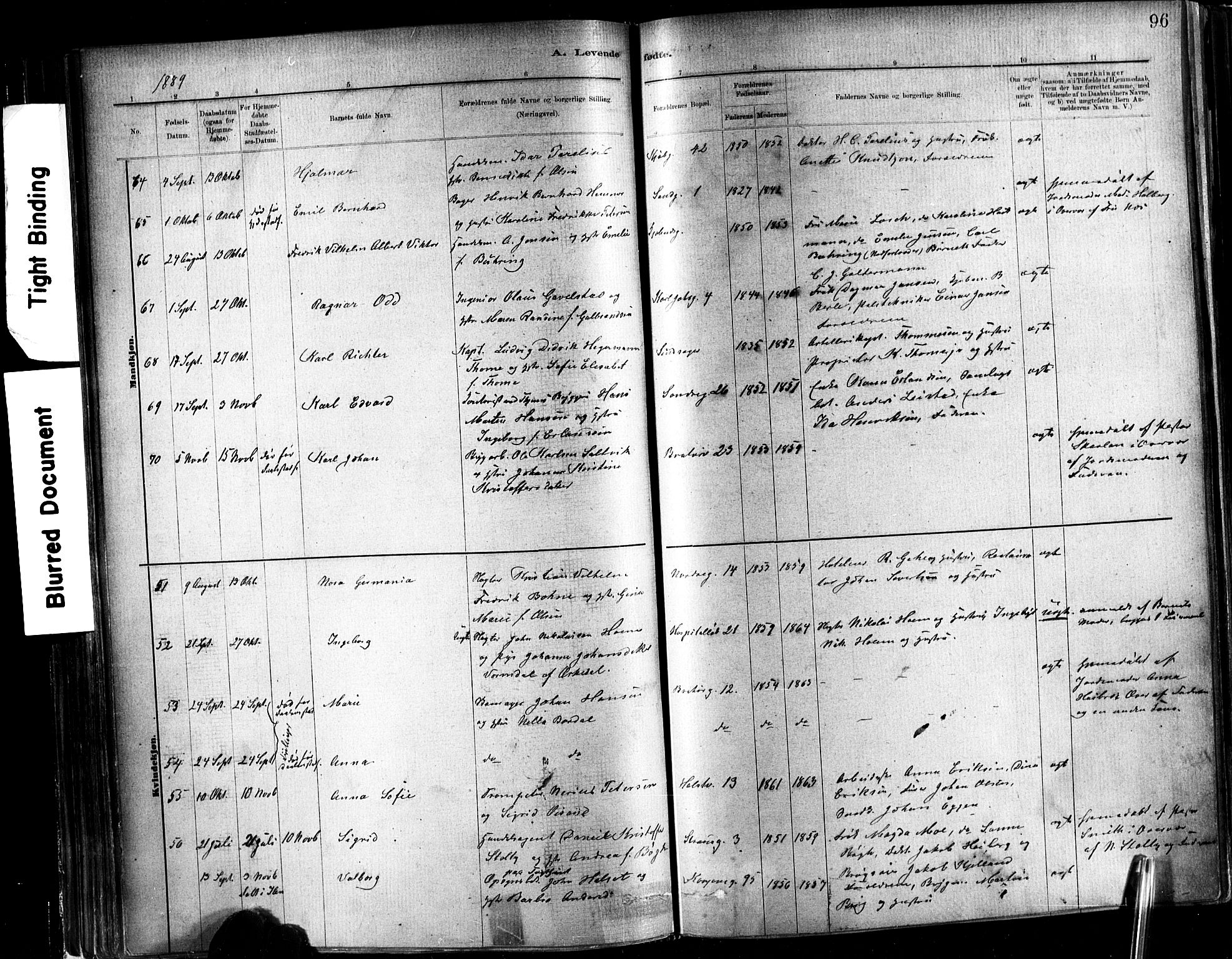 Ministerialprotokoller, klokkerbøker og fødselsregistre - Sør-Trøndelag, SAT/A-1456/602/L0119: Ministerialbok nr. 602A17, 1880-1901, s. 96
