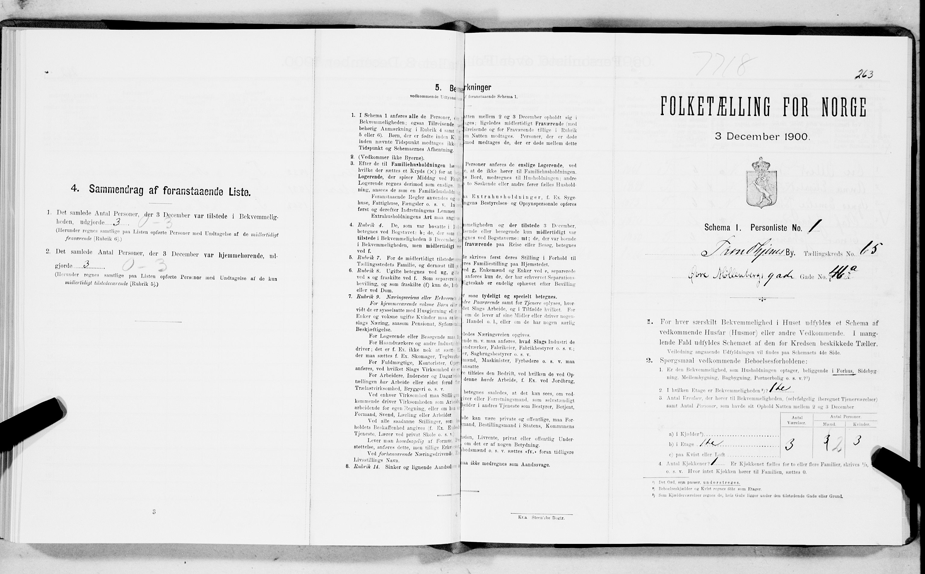 SAT, Folketelling 1900 for 1601 Trondheim kjøpstad, 1900, s. 11569
