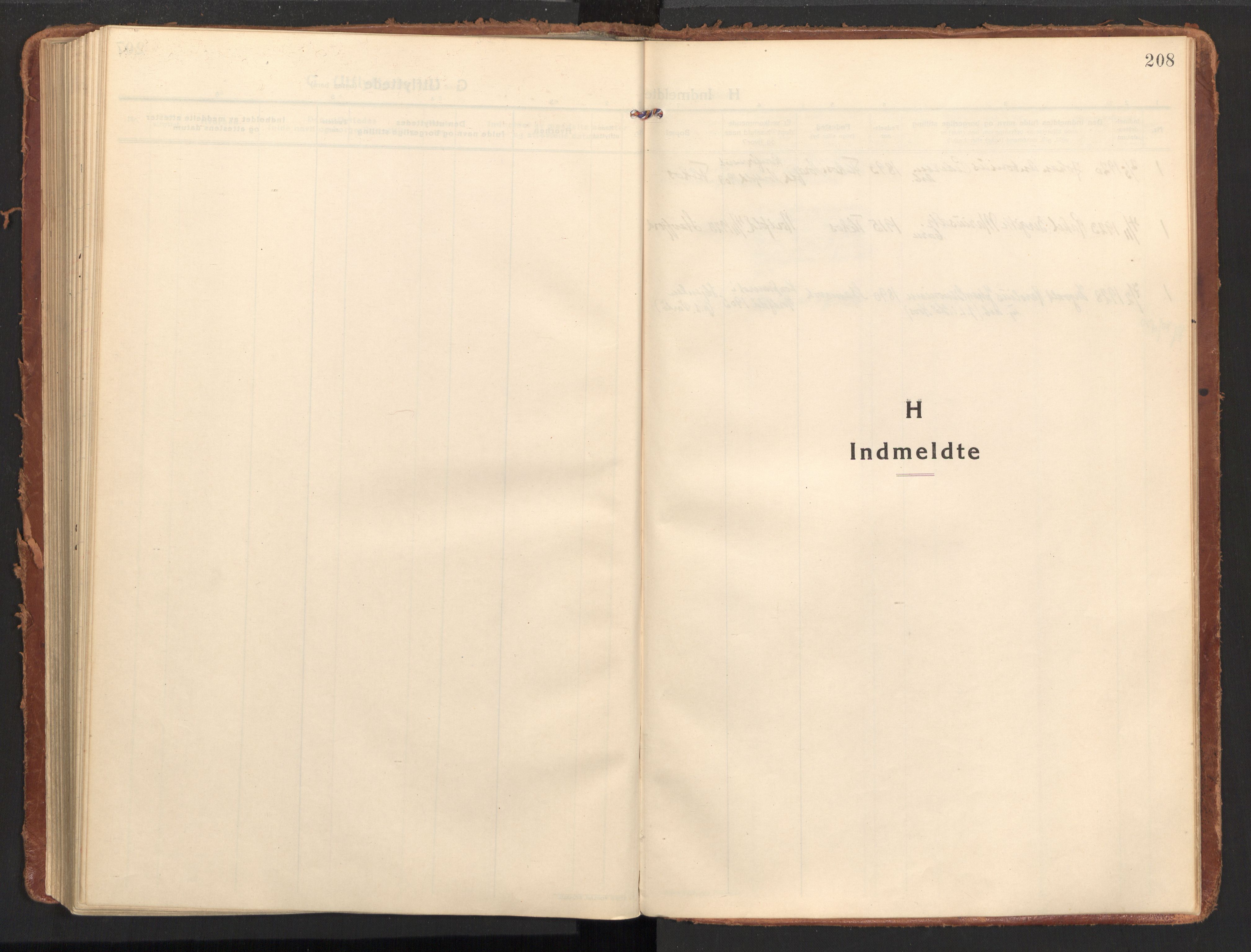 Ministerialprotokoller, klokkerbøker og fødselsregistre - Nordland, AV/SAT-A-1459/858/L0833: Ministerialbok nr. 858A03, 1916-1934, s. 208