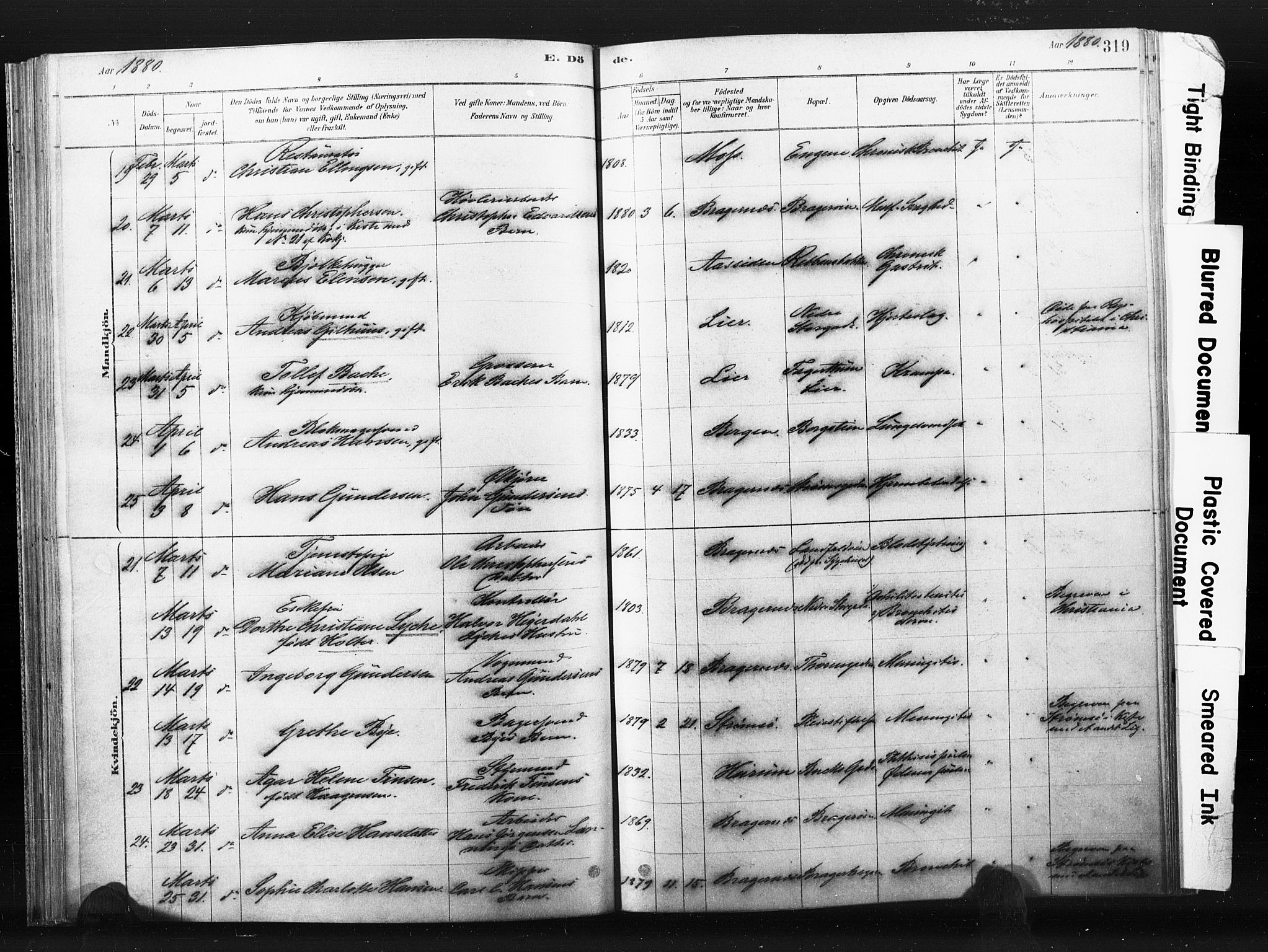 Bragernes kirkebøker, AV/SAKO-A-6/F/Fb/L0006b: Ministerialbok nr. II 6B, 1878-1885, s. 319