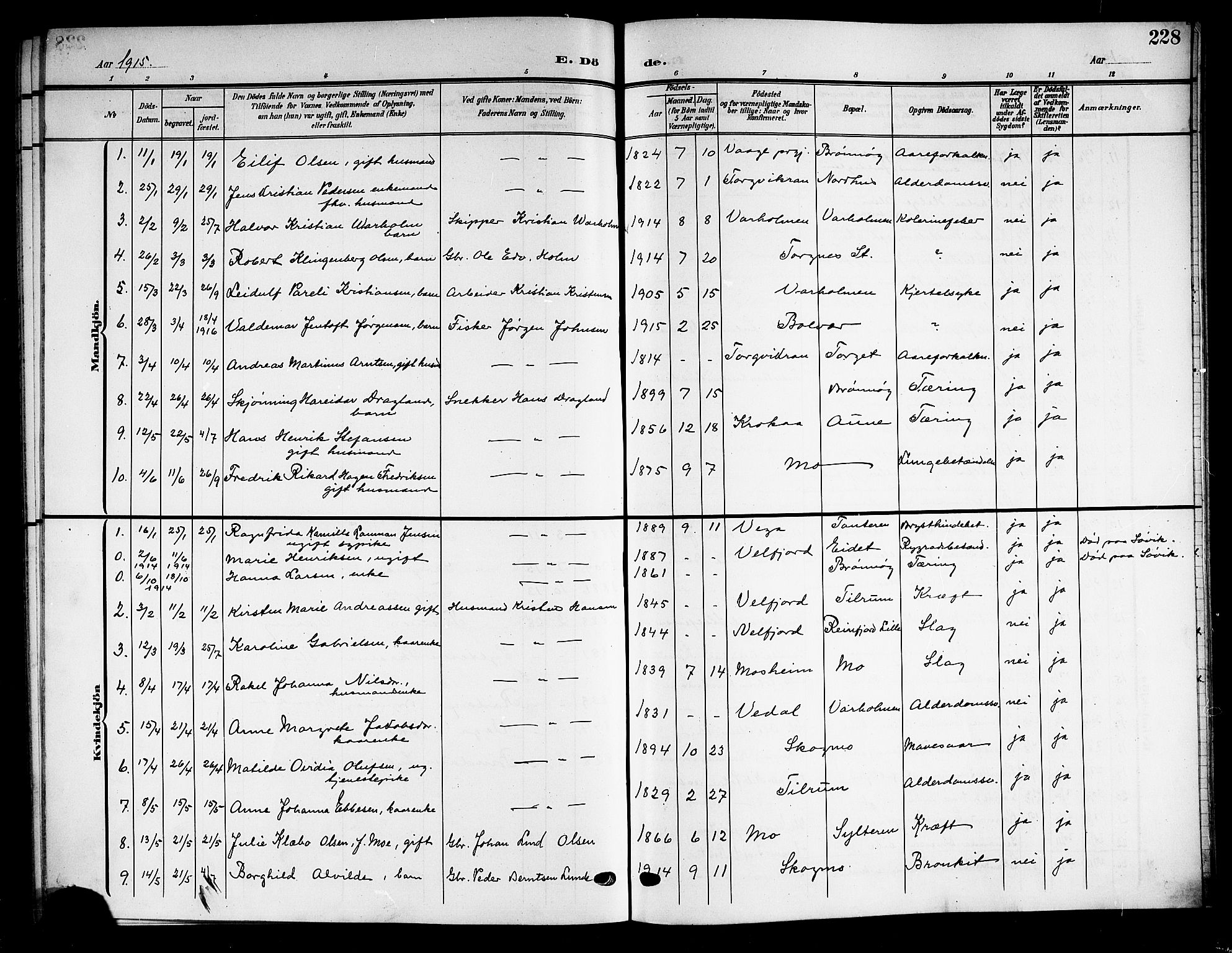 Ministerialprotokoller, klokkerbøker og fødselsregistre - Nordland, AV/SAT-A-1459/813/L0214: Klokkerbok nr. 813C06, 1904-1917, s. 228